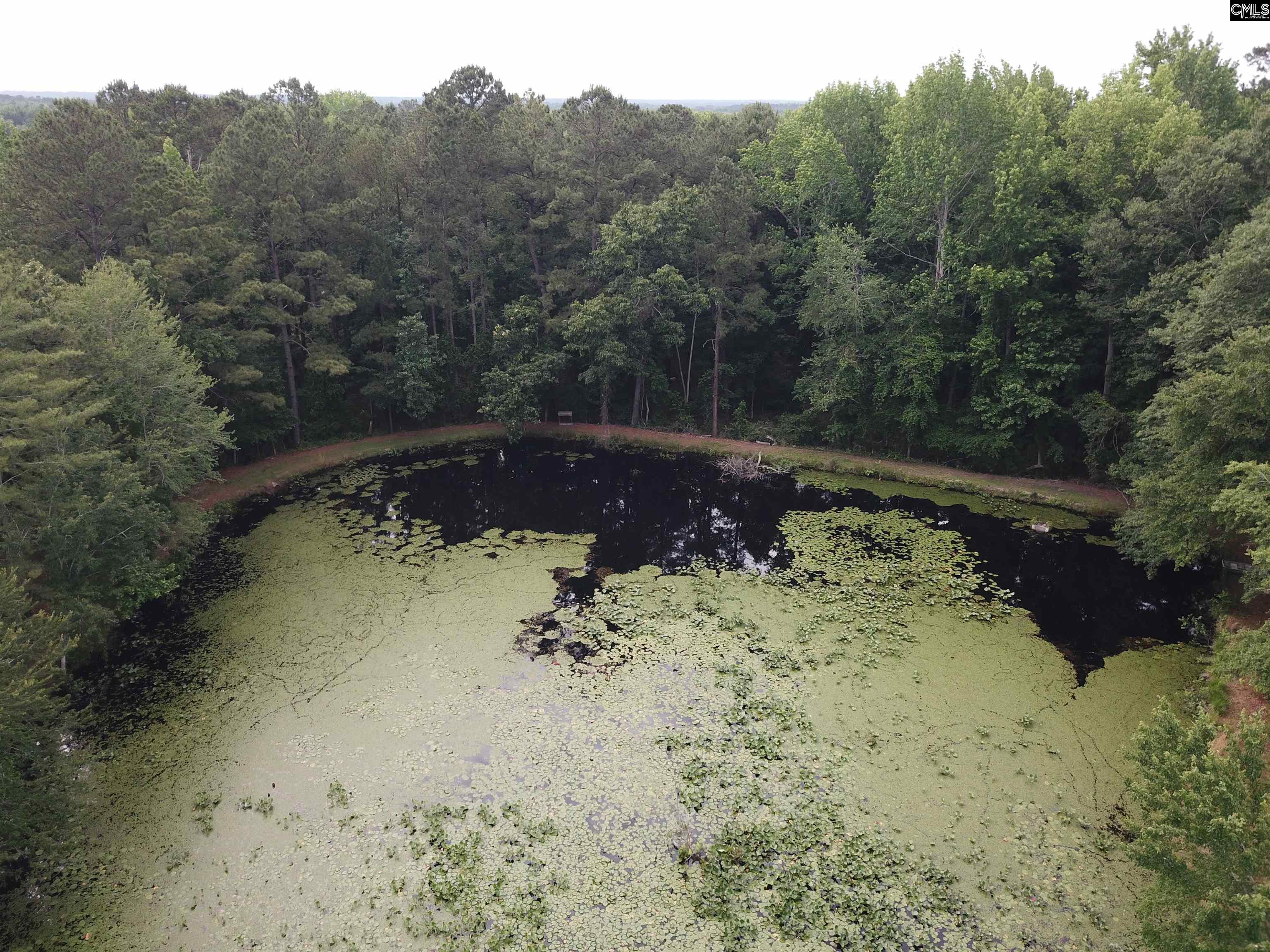 141 Frost Road, Camden, South Carolina image 19