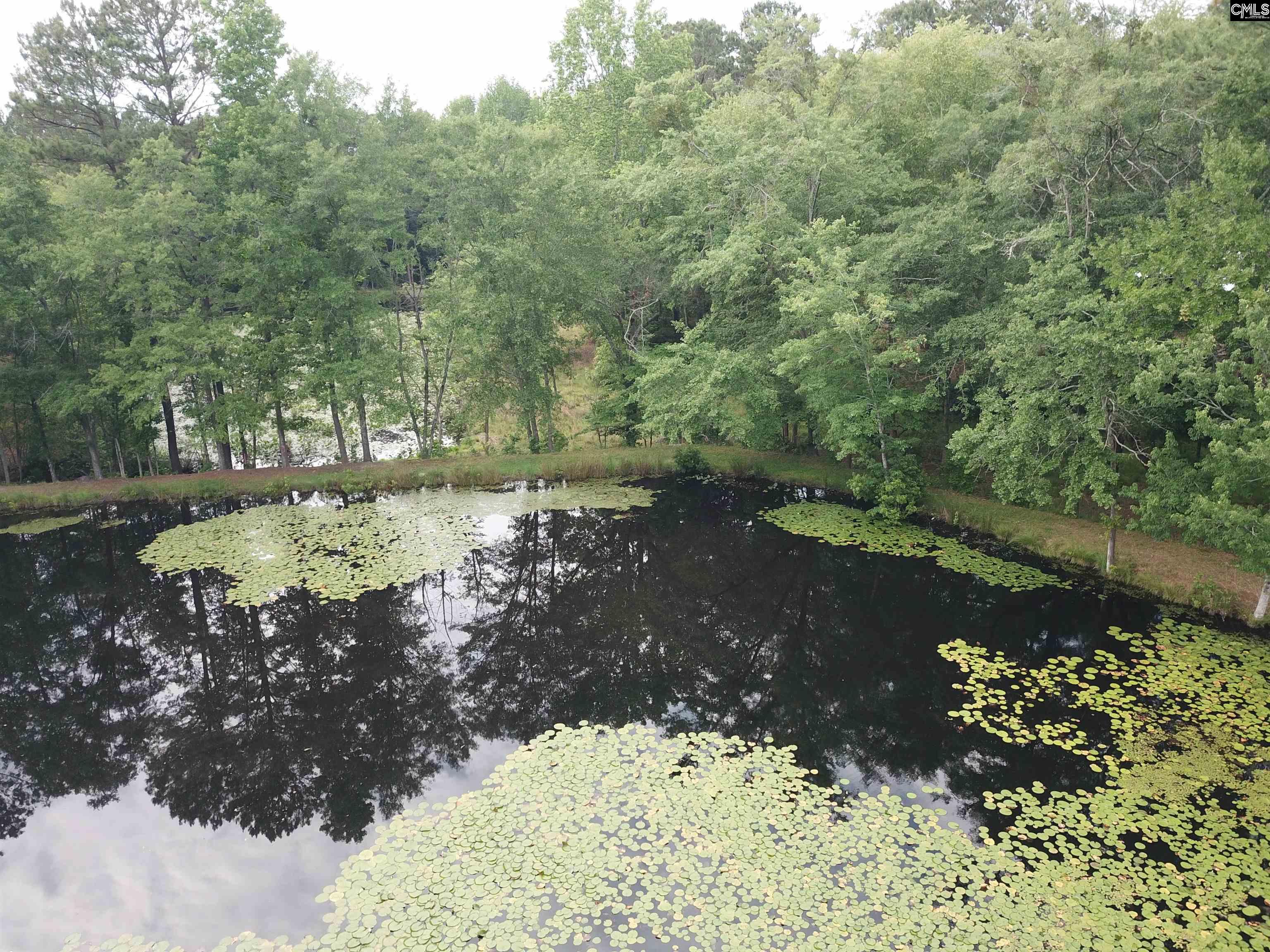 141 Frost Road, Camden, South Carolina image 21