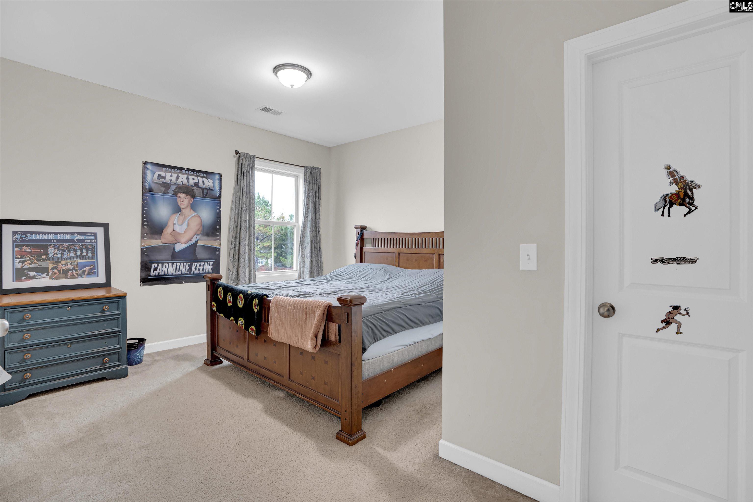 1064 Portrait Hill Drive, Chapin, South Carolina image 37