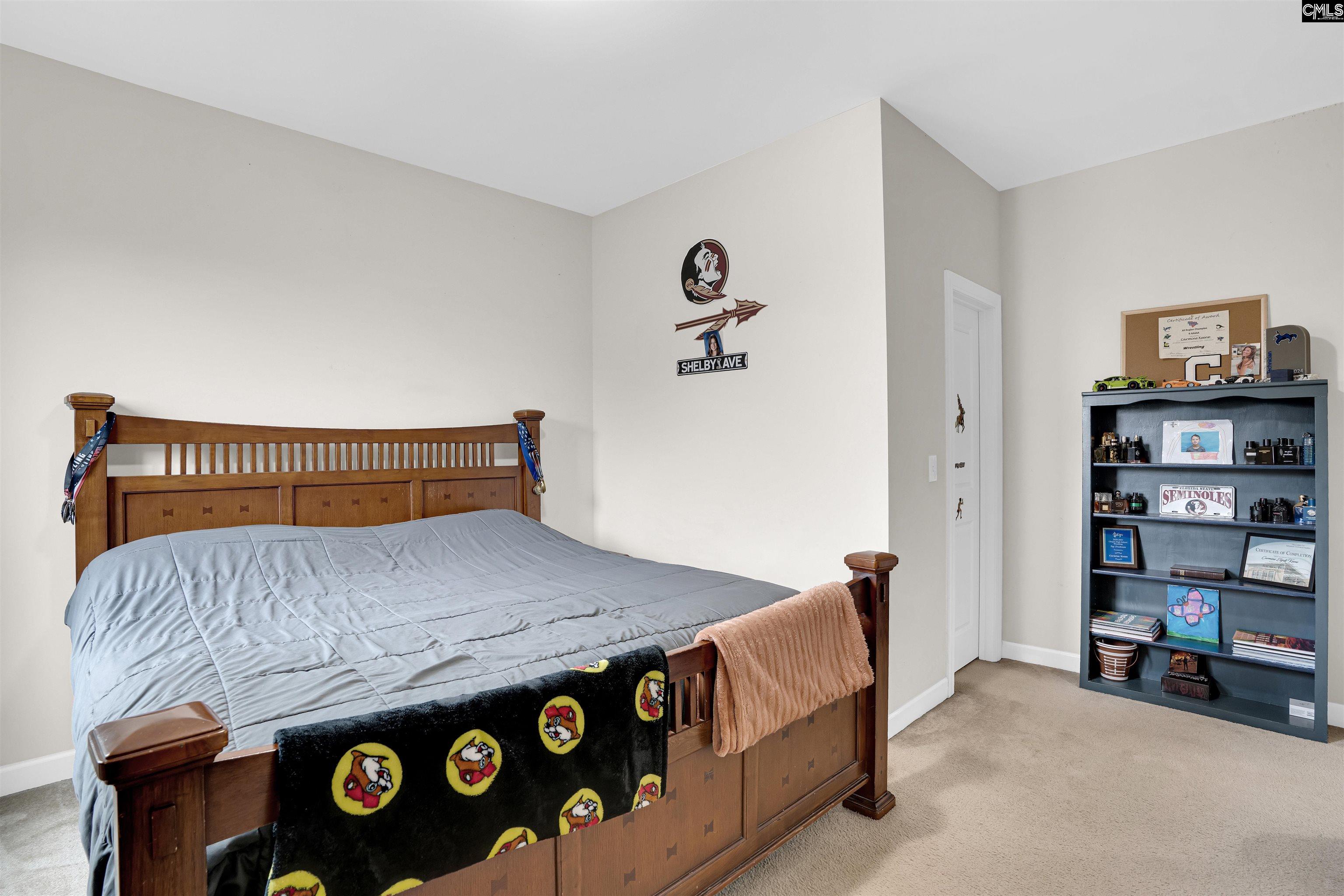 1064 Portrait Hill Drive, Chapin, South Carolina image 38