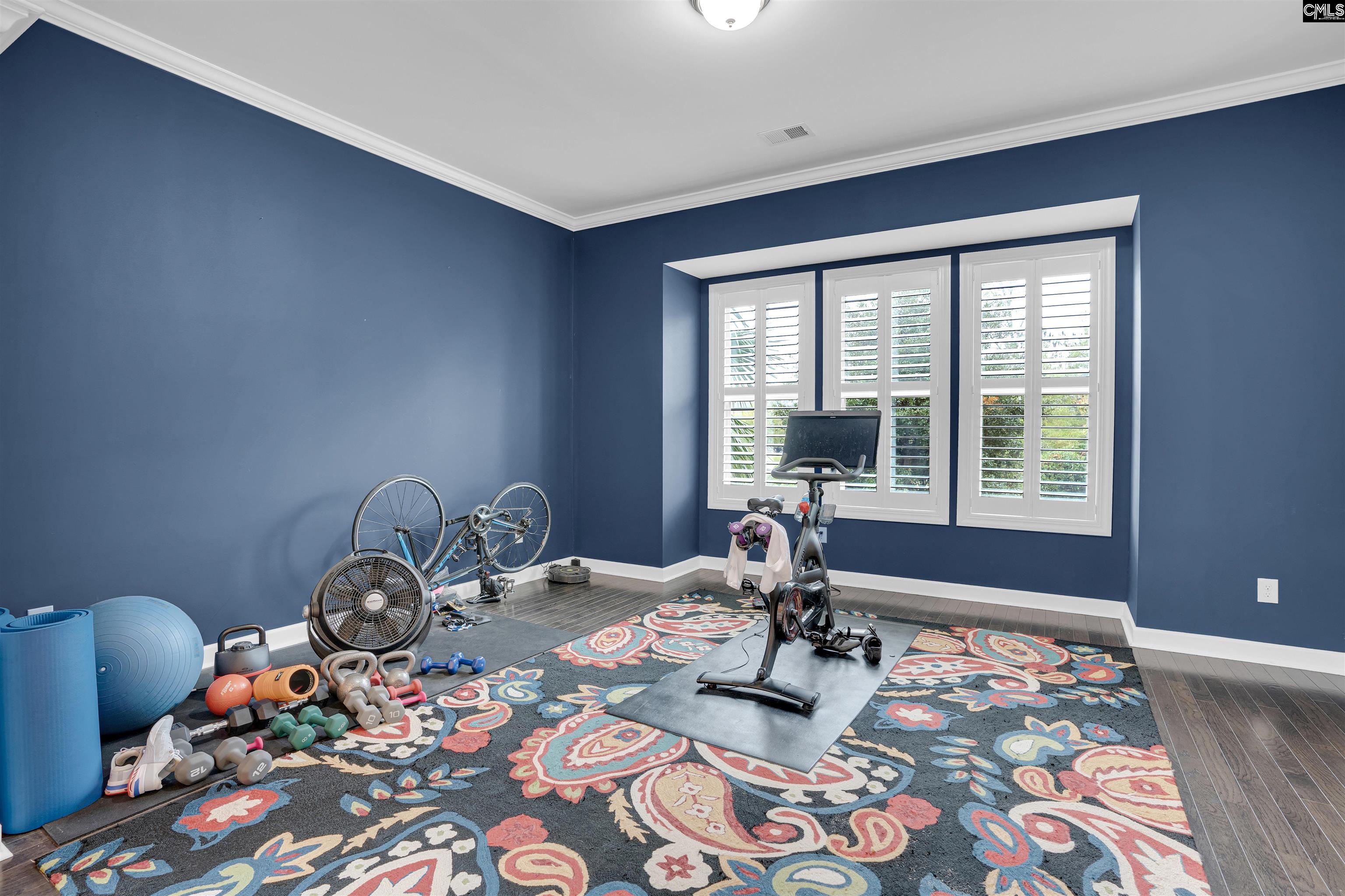 1064 Portrait Hill Drive, Chapin, South Carolina image 8