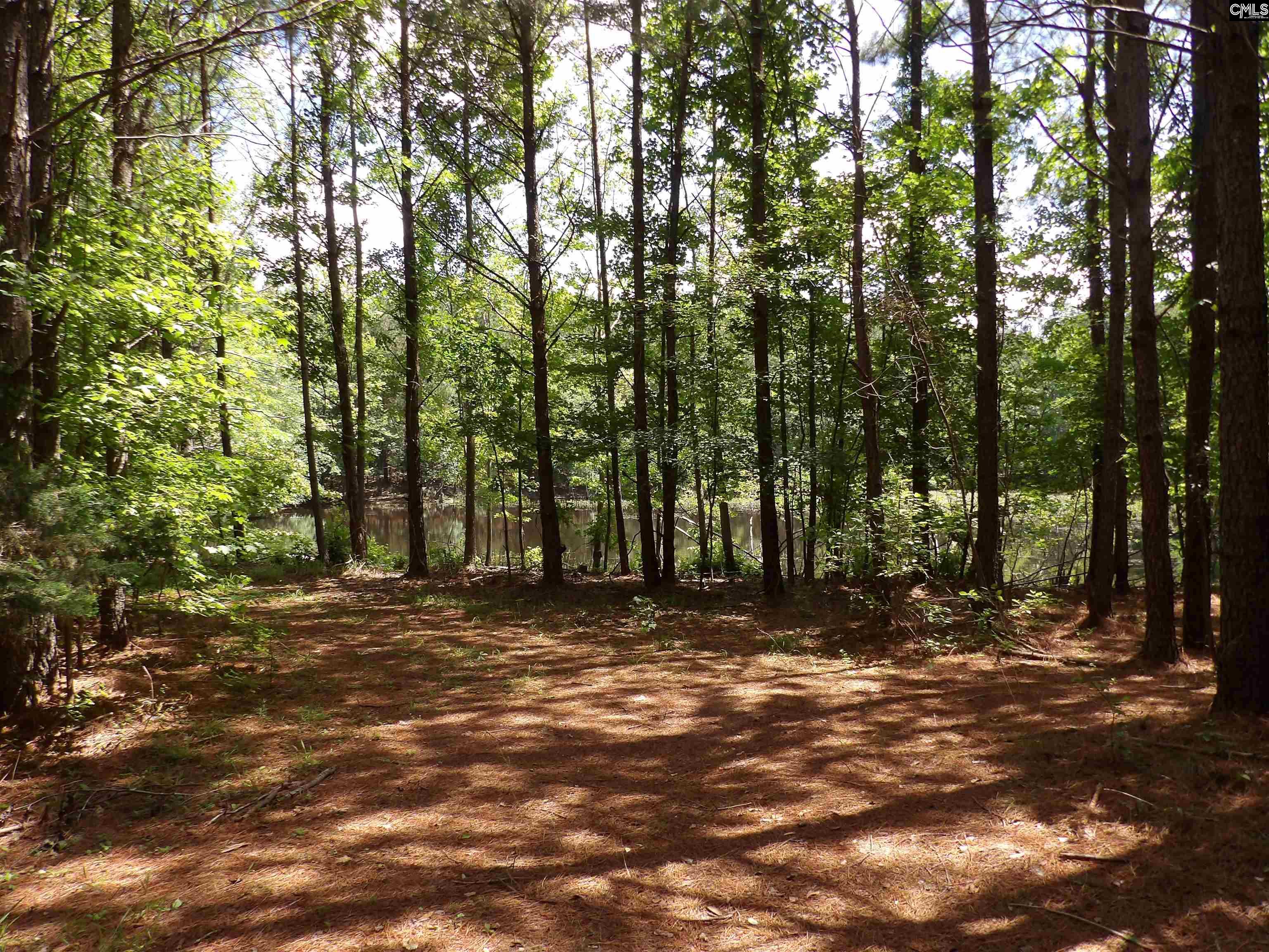 Line Street, Batesburg, South Carolina image 11