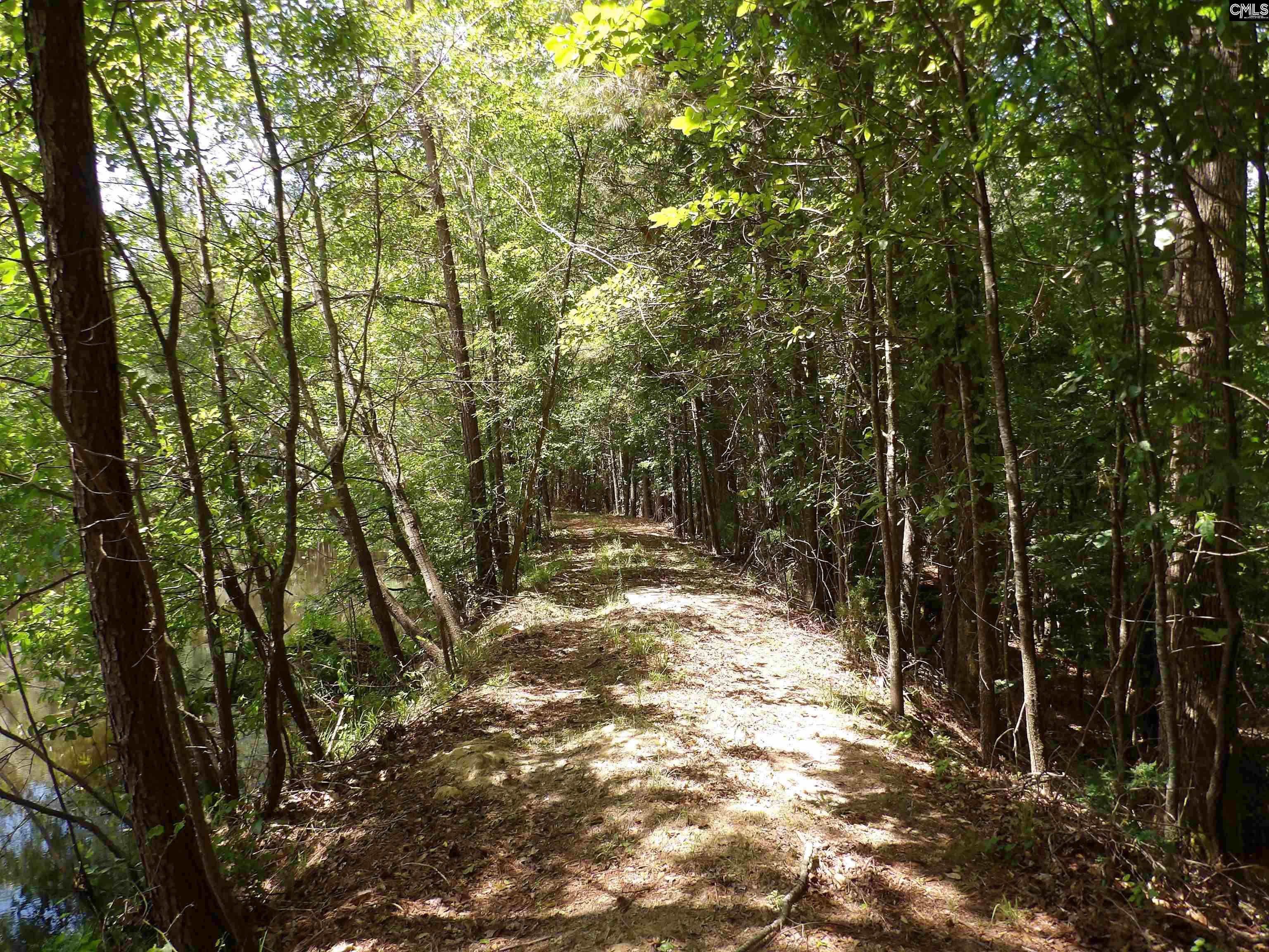 Line Street, Batesburg, South Carolina image 13