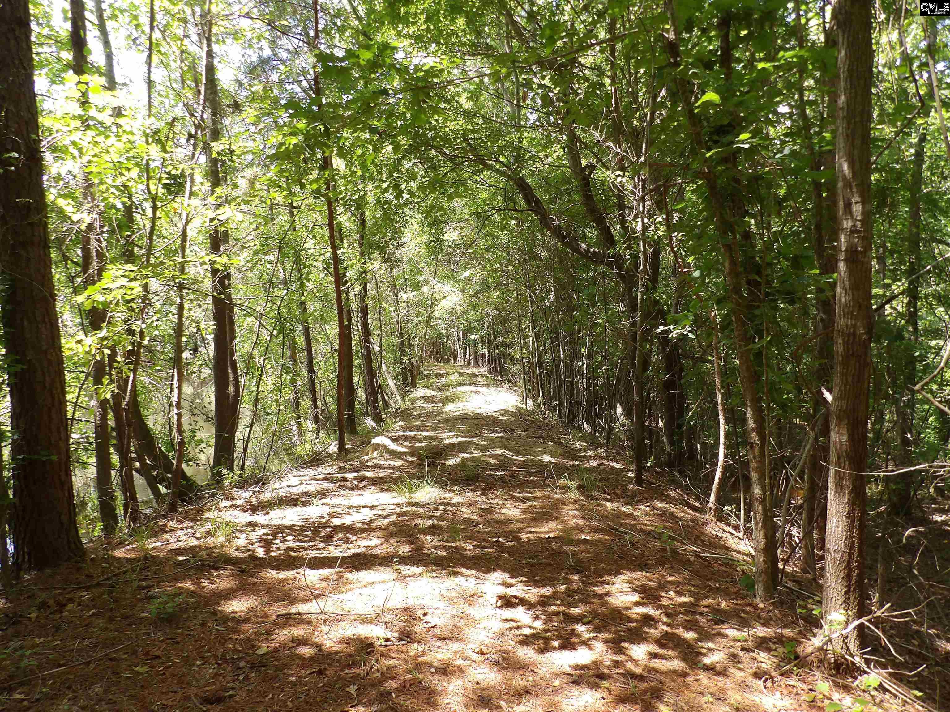 Line Street, Batesburg, South Carolina image 14