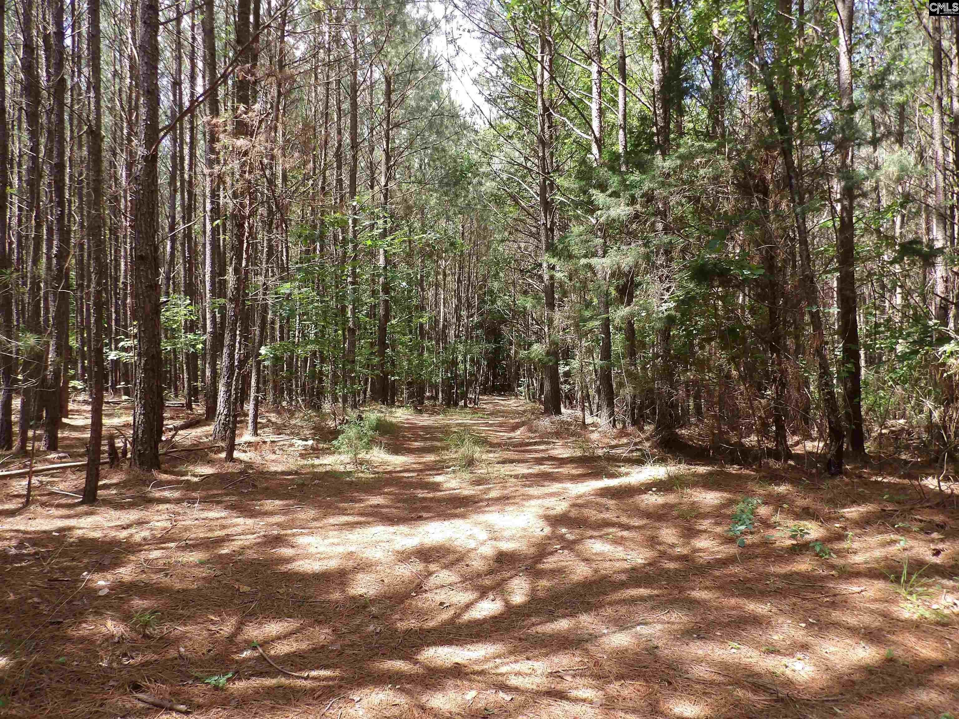 Line Street, Batesburg, South Carolina image 16