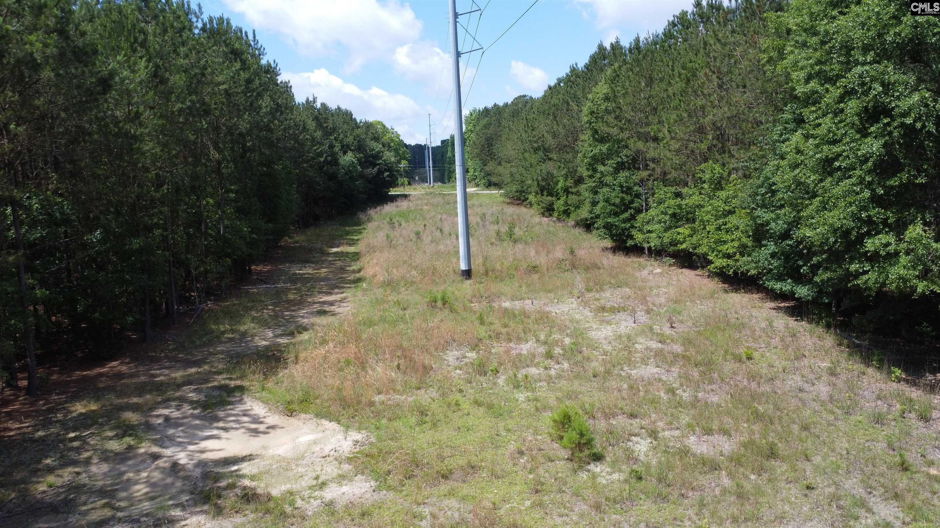 Line Street, Batesburg, South Carolina image 30