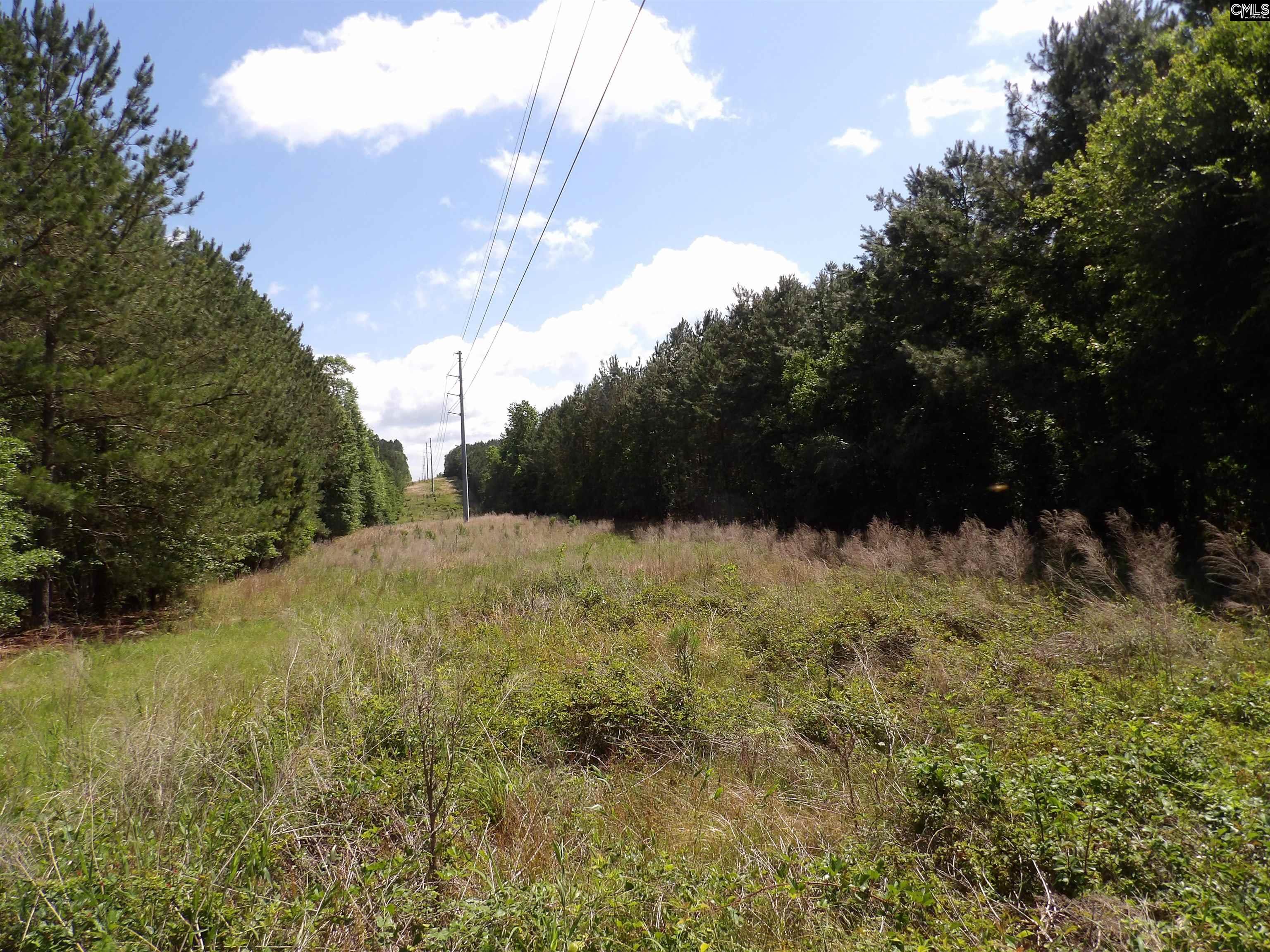 Line Street, Batesburg, South Carolina image 34