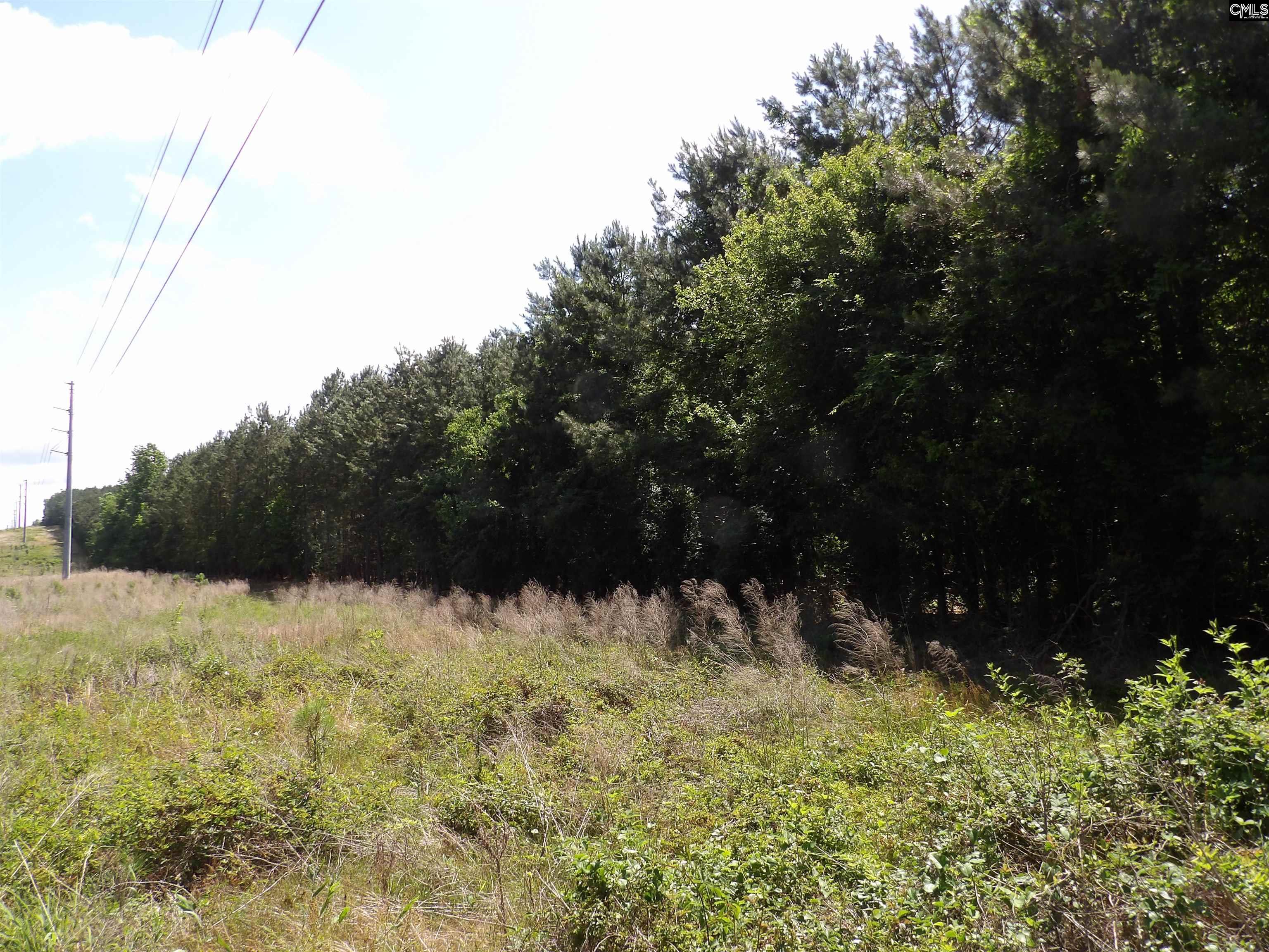 Line Street, Batesburg, South Carolina image 35