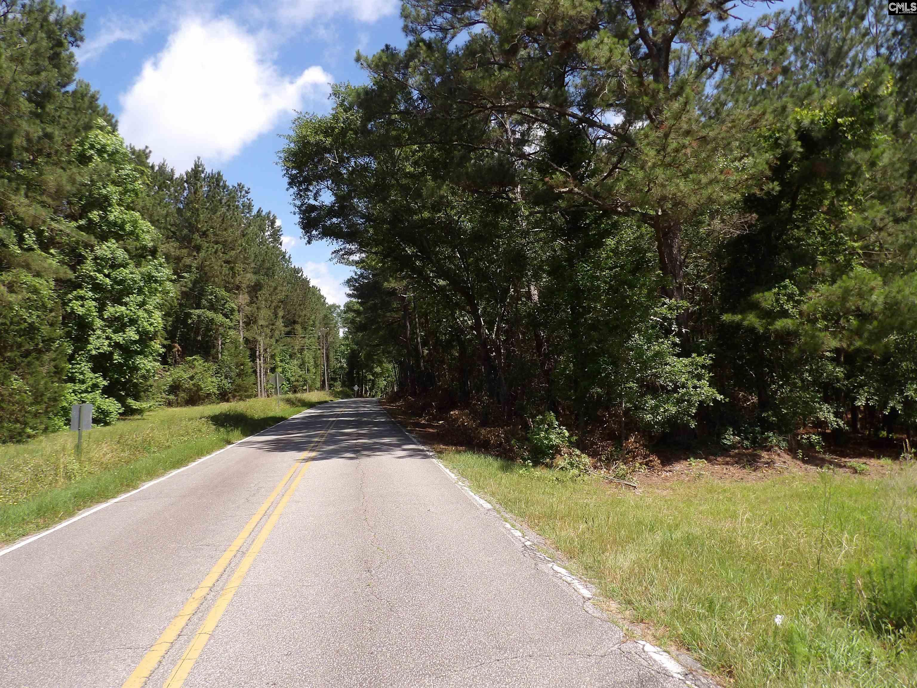 Line Street, Batesburg, South Carolina image 36