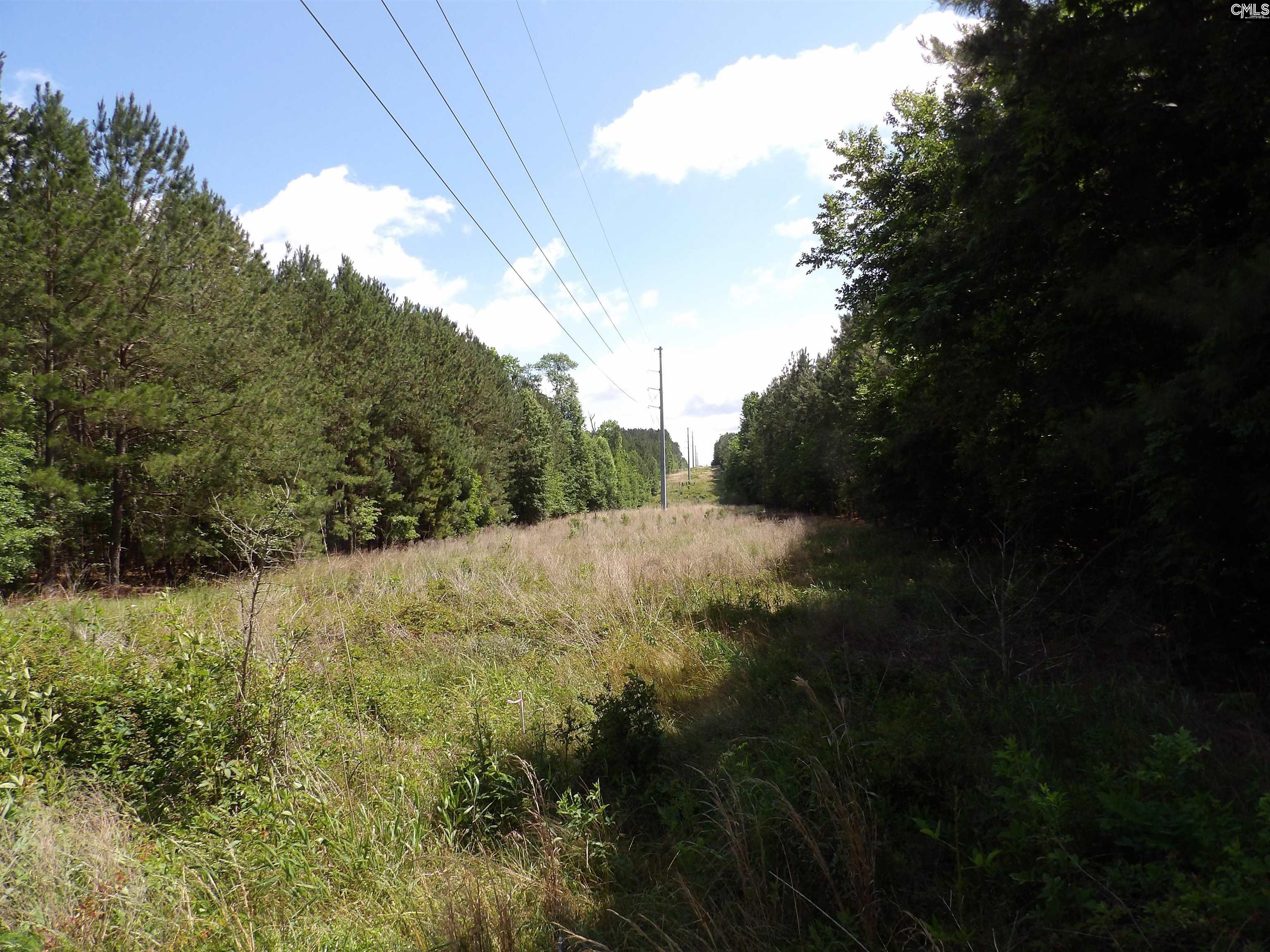 Line Street, Batesburg, South Carolina image 37