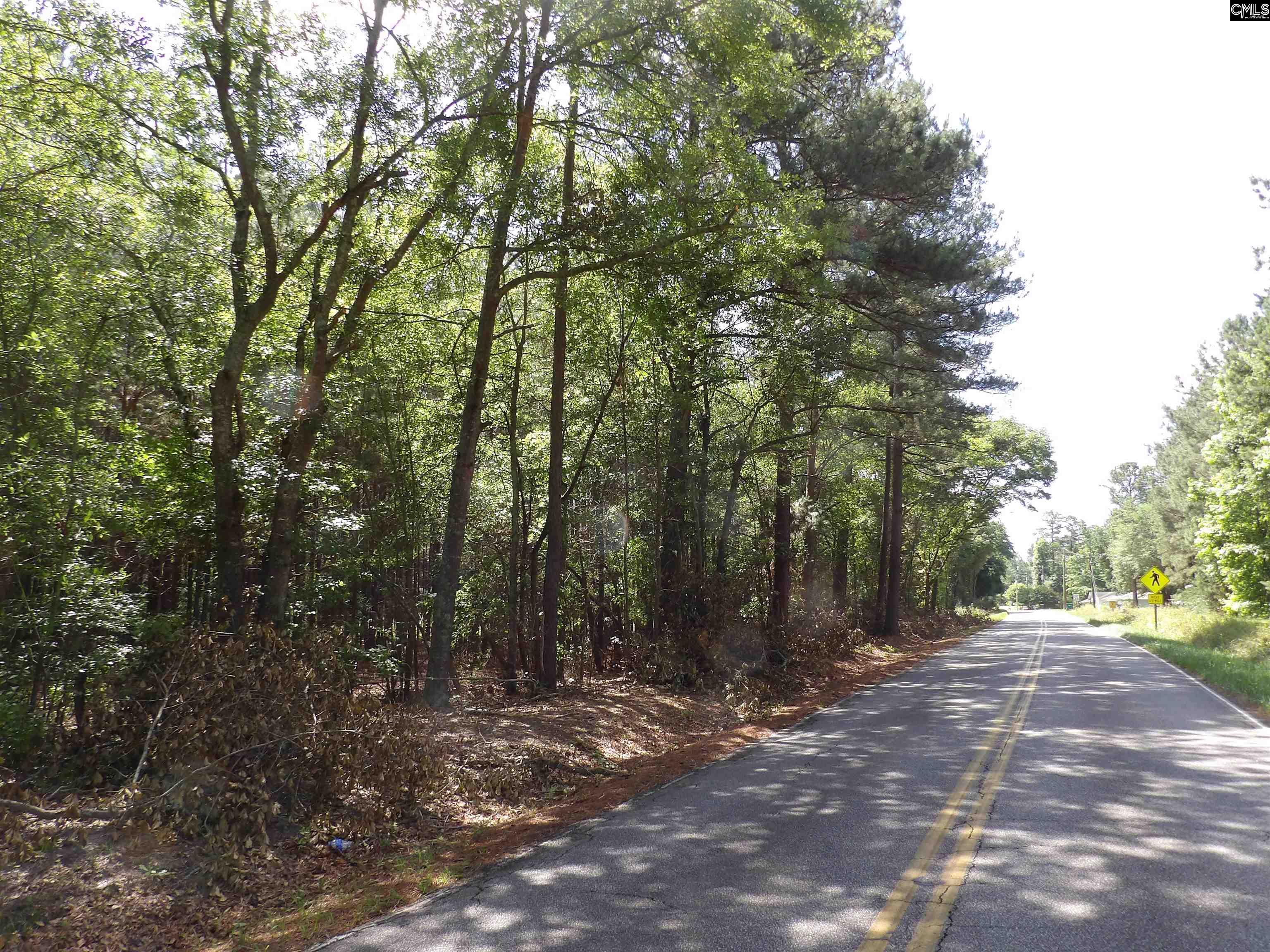 Line Street, Batesburg, South Carolina image 39