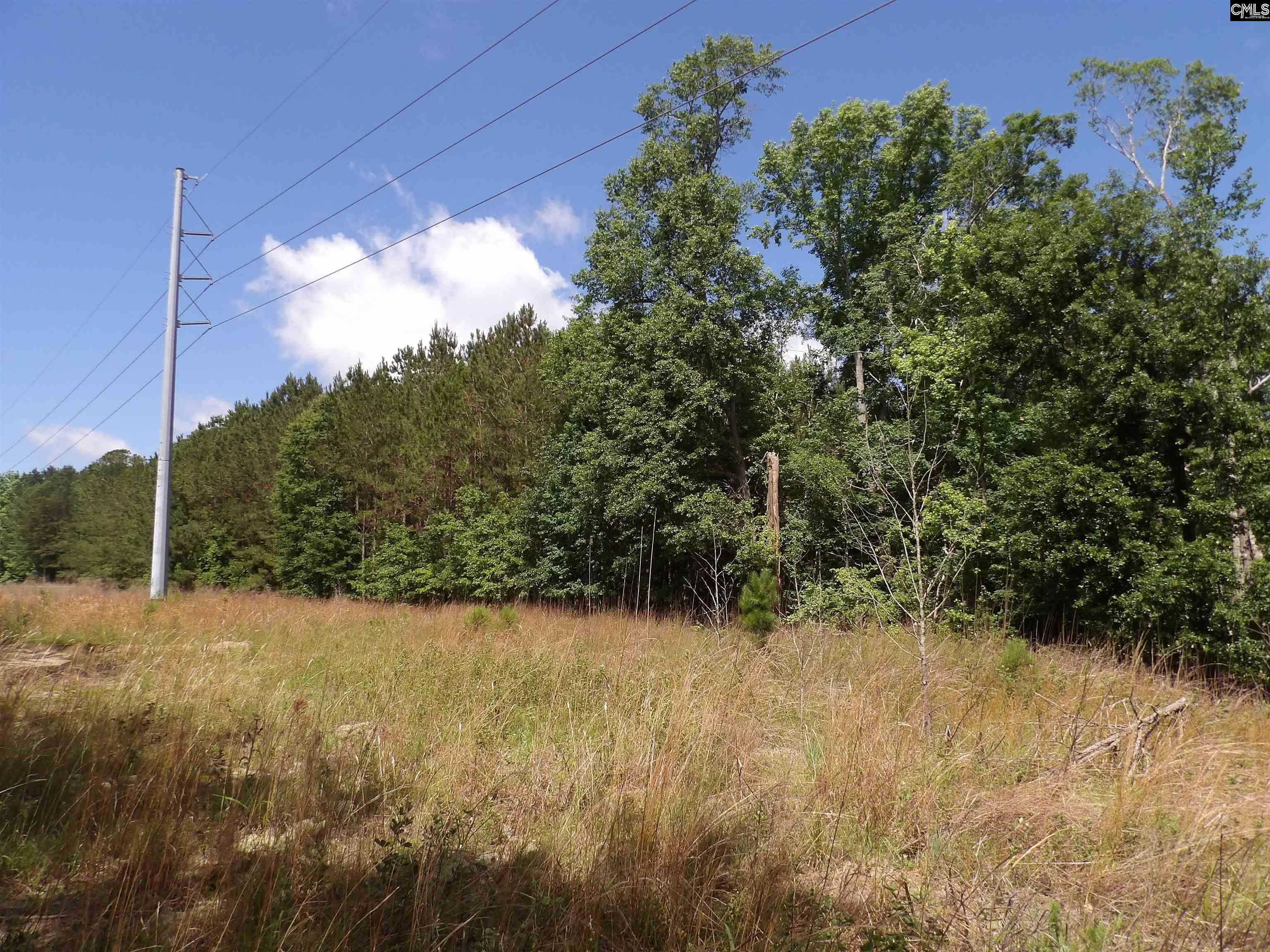 Line Street, Batesburg, South Carolina image 42