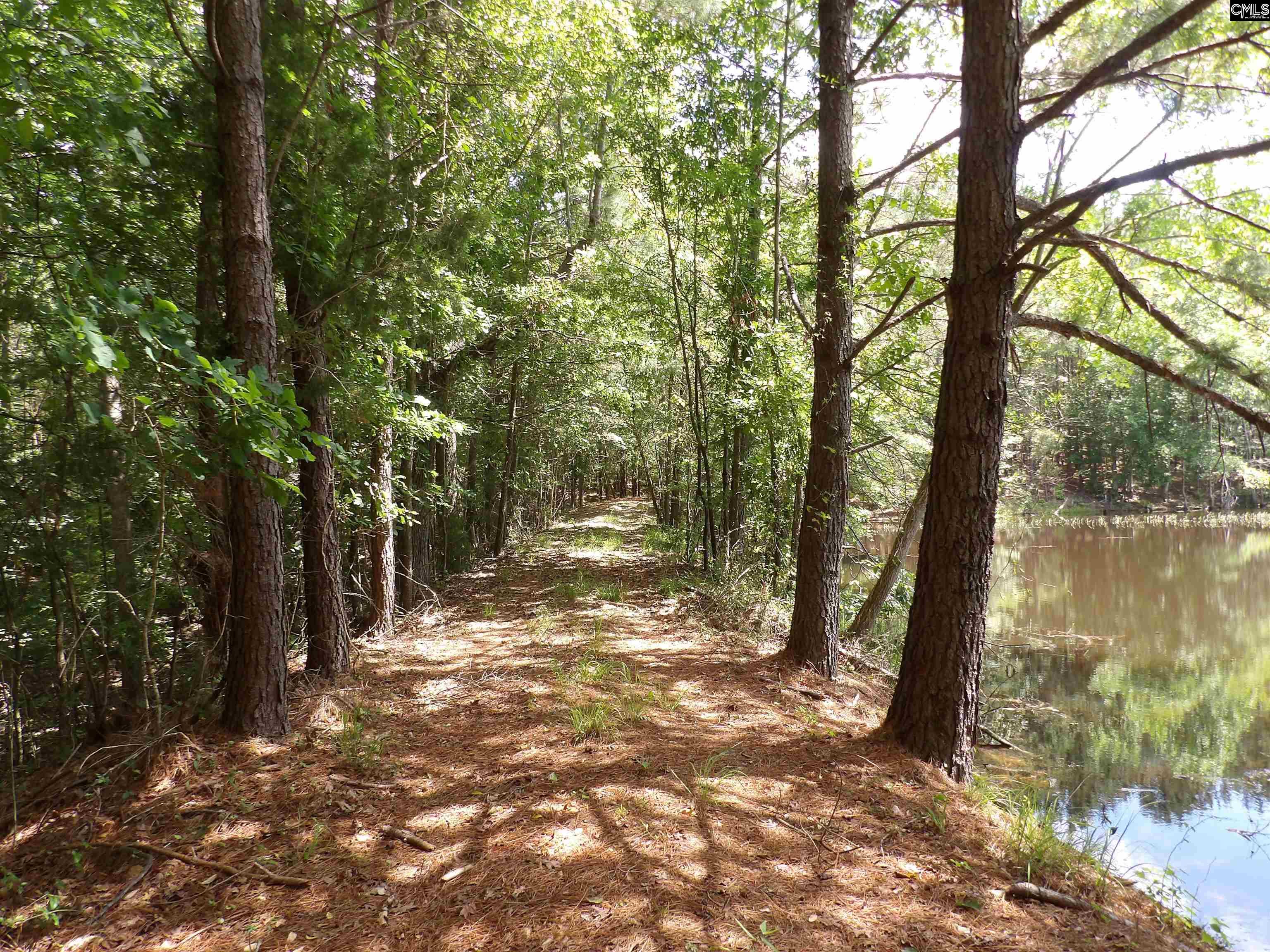 Line Street, Batesburg, South Carolina image 10