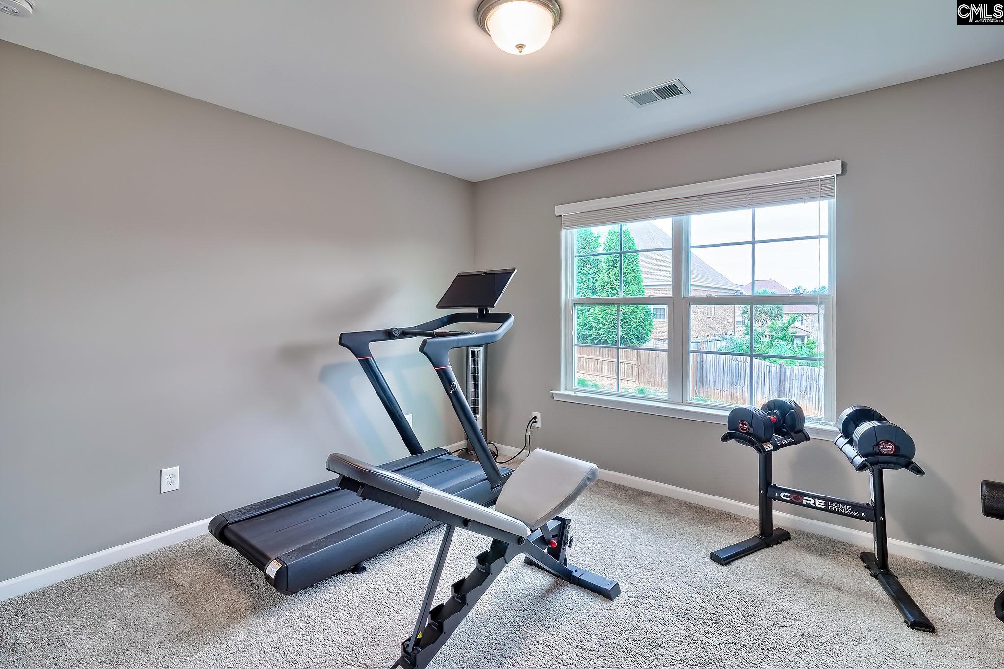 335 Hollow Cove Road, Chapin, South Carolina image 23