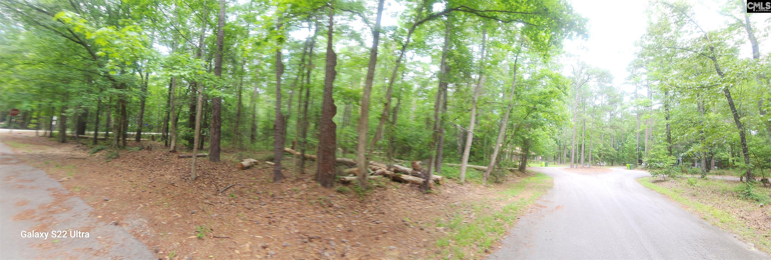 237 Fox Run Drive, Hopkins, South Carolina image 11