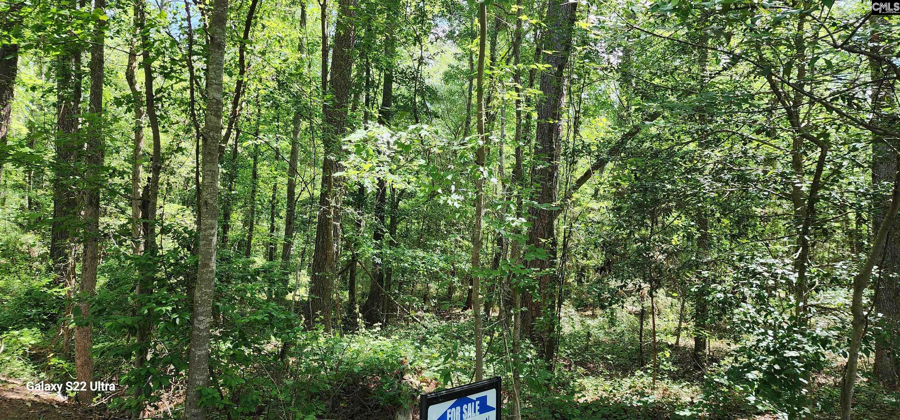 237 Fox Run Drive, Hopkins, South Carolina image 6