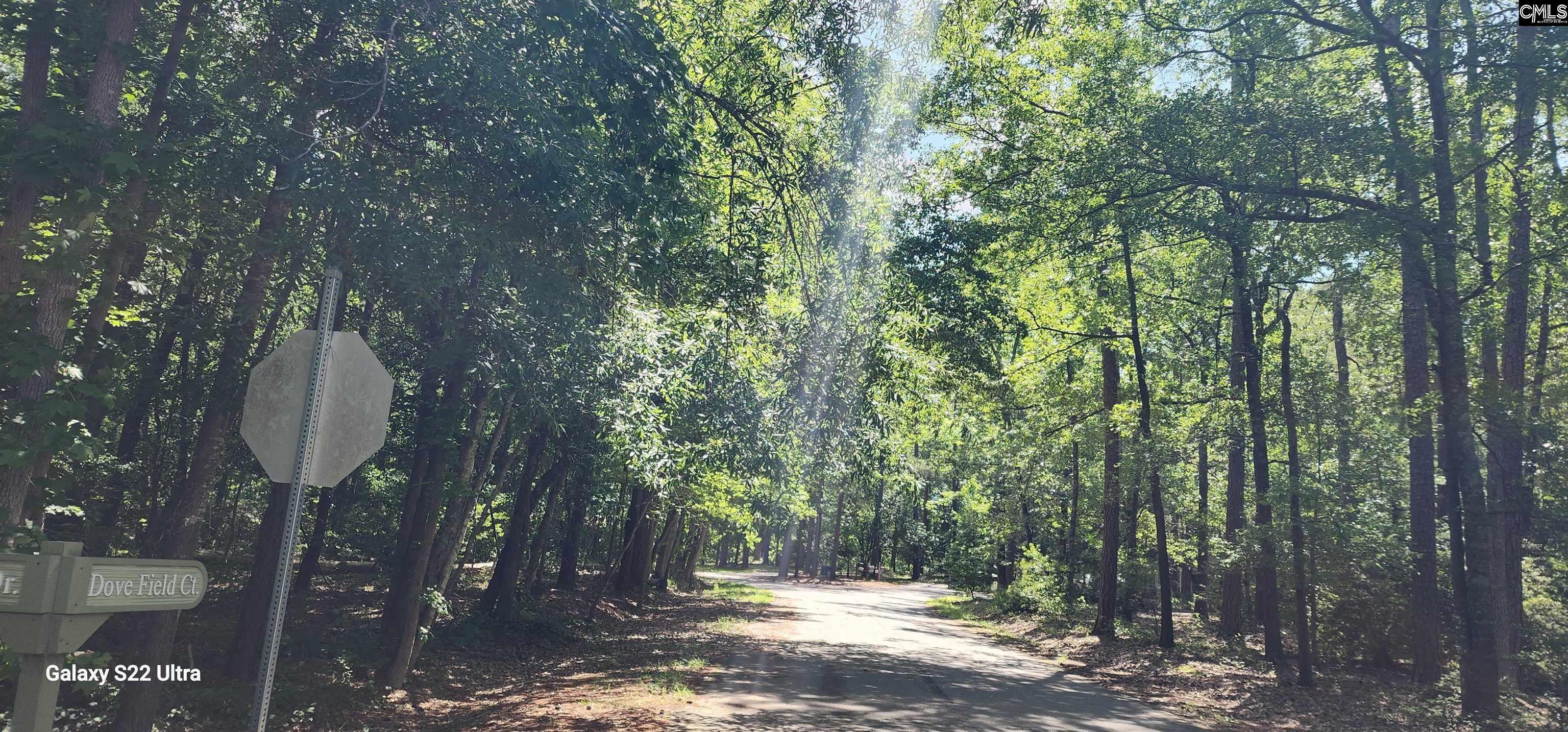 237 Fox Run Drive Hopkins, SC 29061