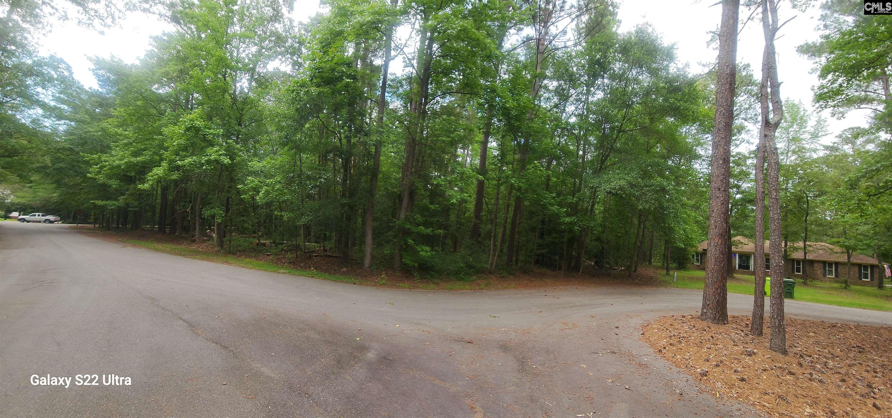 237 Fox Run Drive, Hopkins, South Carolina image 8