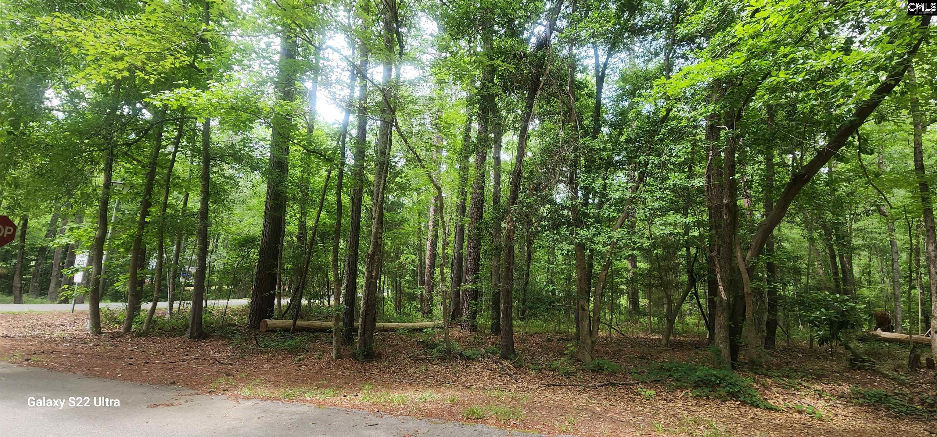 237 Fox Run Drive, Hopkins, South Carolina image 10