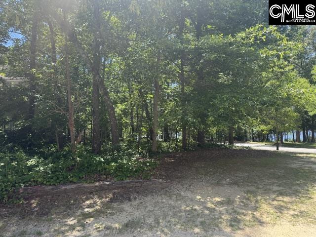 172 Harborside Circle UNIT #232 Columbia, SC 29229