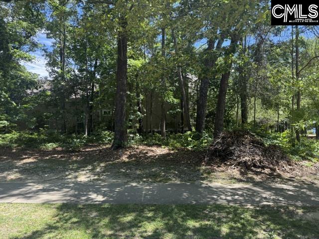 172 Harborside Circle UNIT #232 Columbia, SC 29229