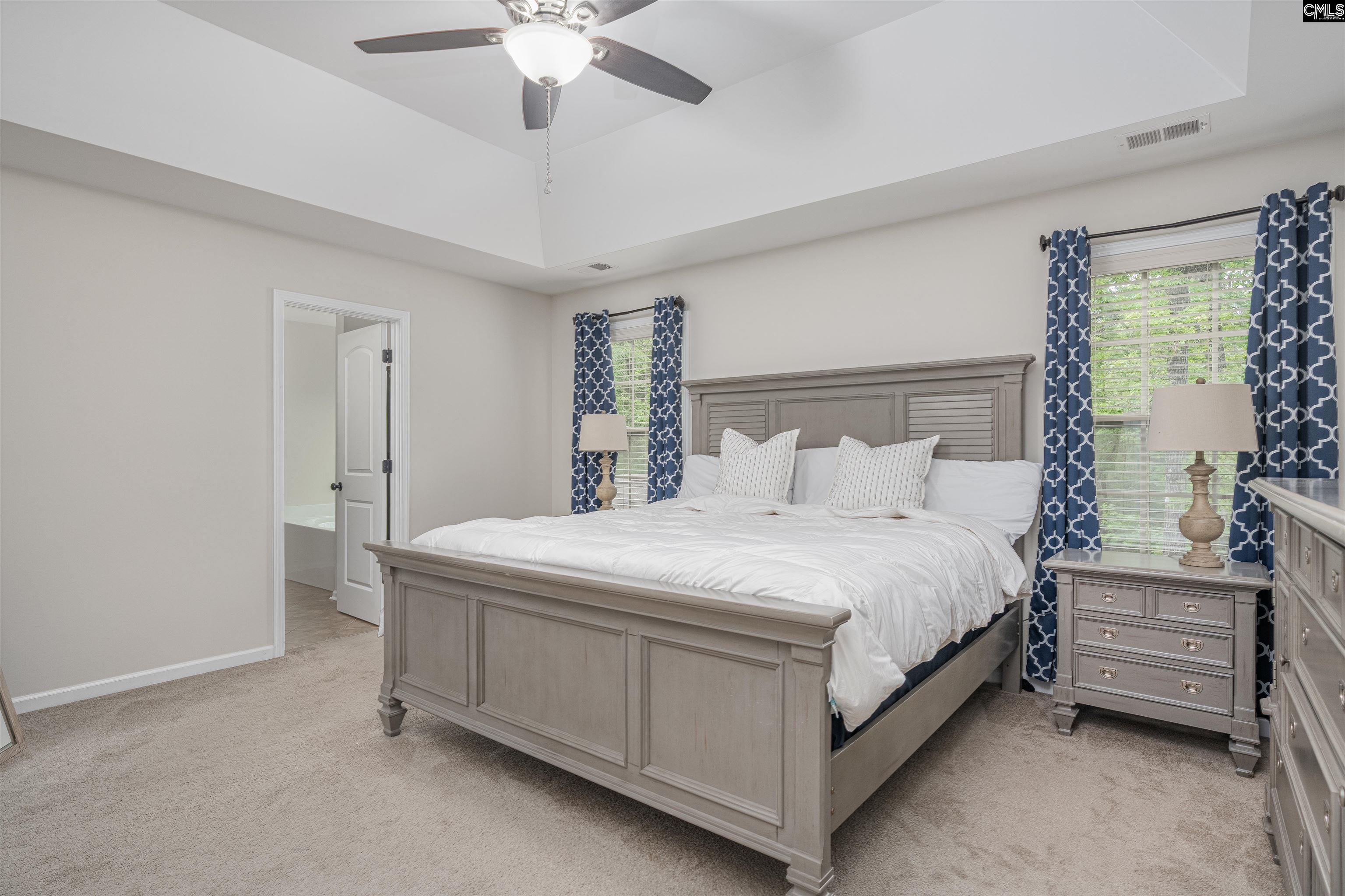 459 Smallwood Drive, Chapin, South Carolina image 17