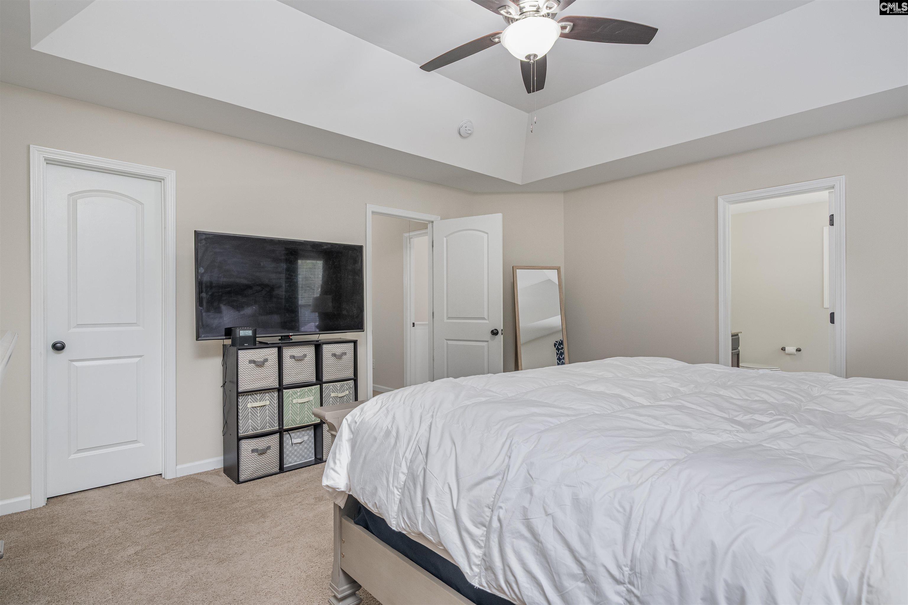 459 Smallwood Drive, Chapin, South Carolina image 18