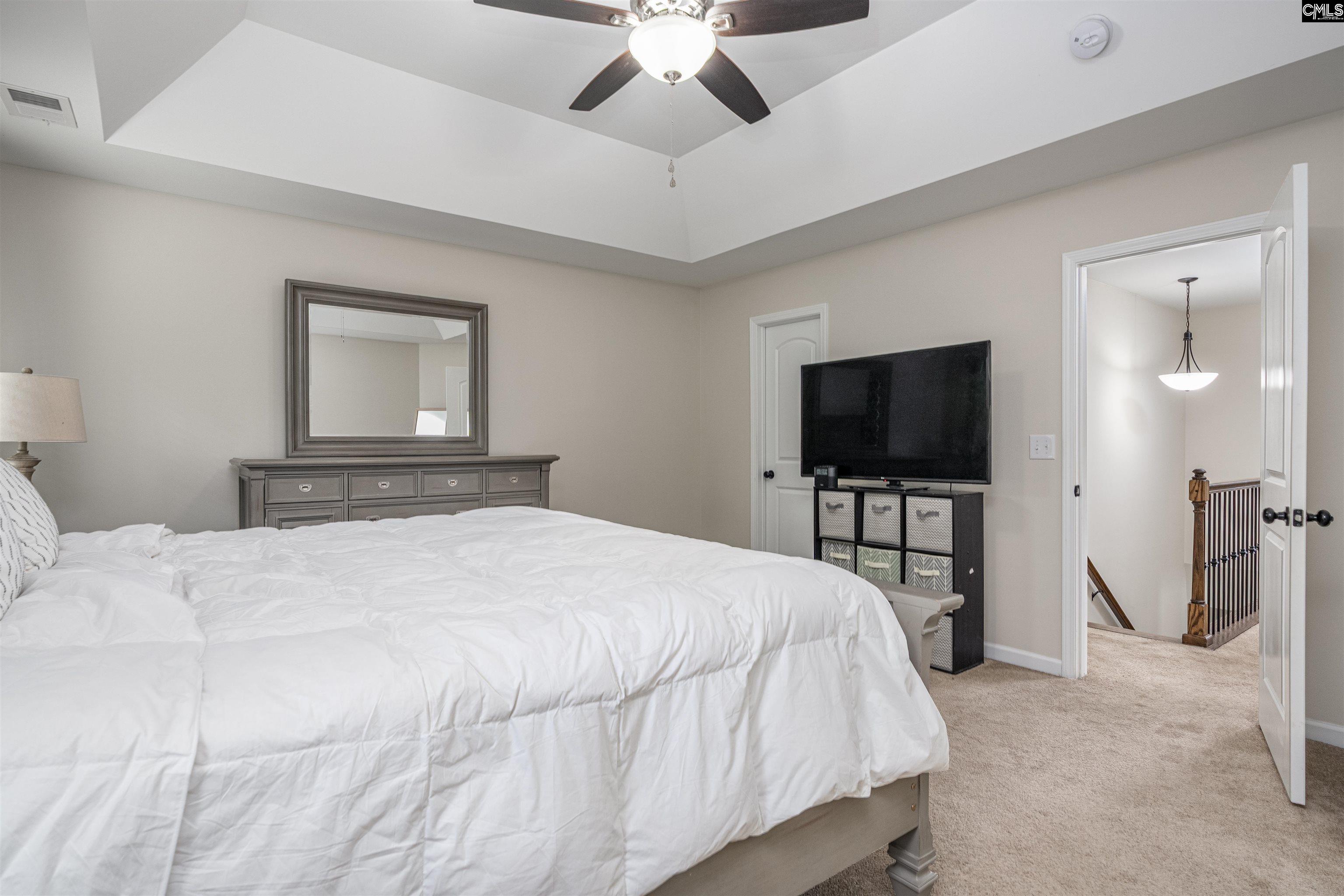 459 Smallwood Drive, Chapin, South Carolina image 19