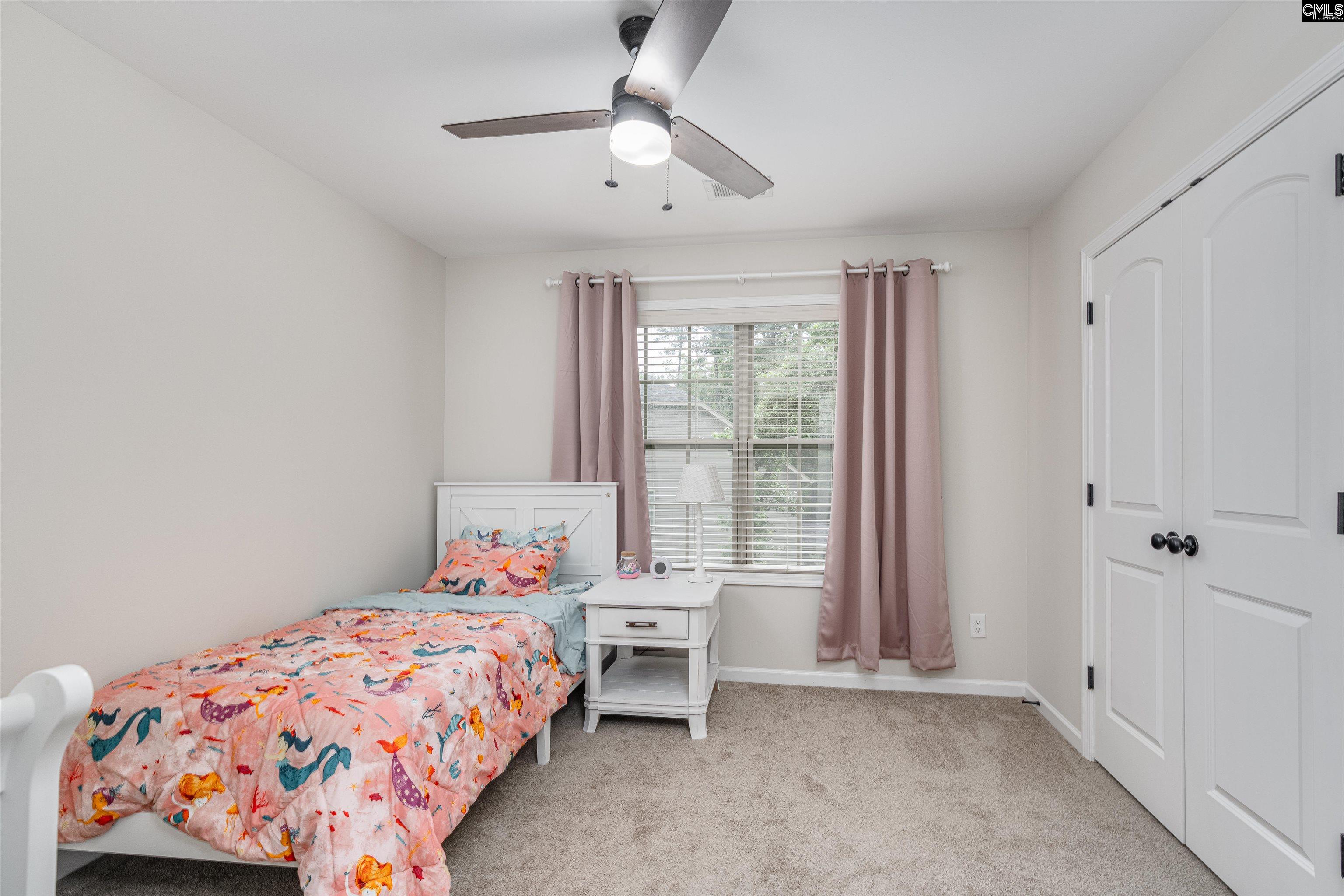 459 Smallwood Drive, Chapin, South Carolina image 23
