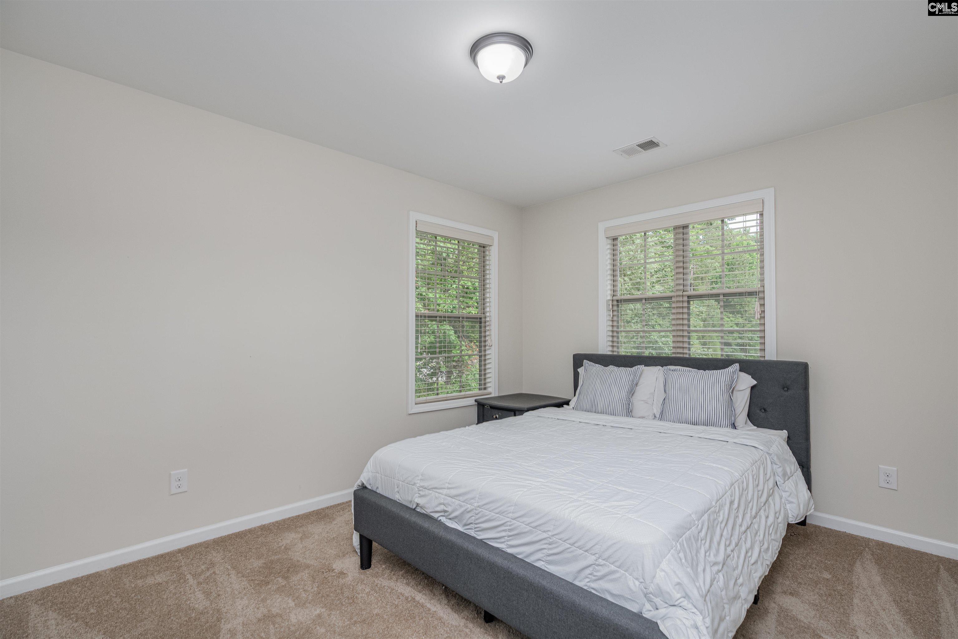 459 Smallwood Drive, Chapin, South Carolina image 25
