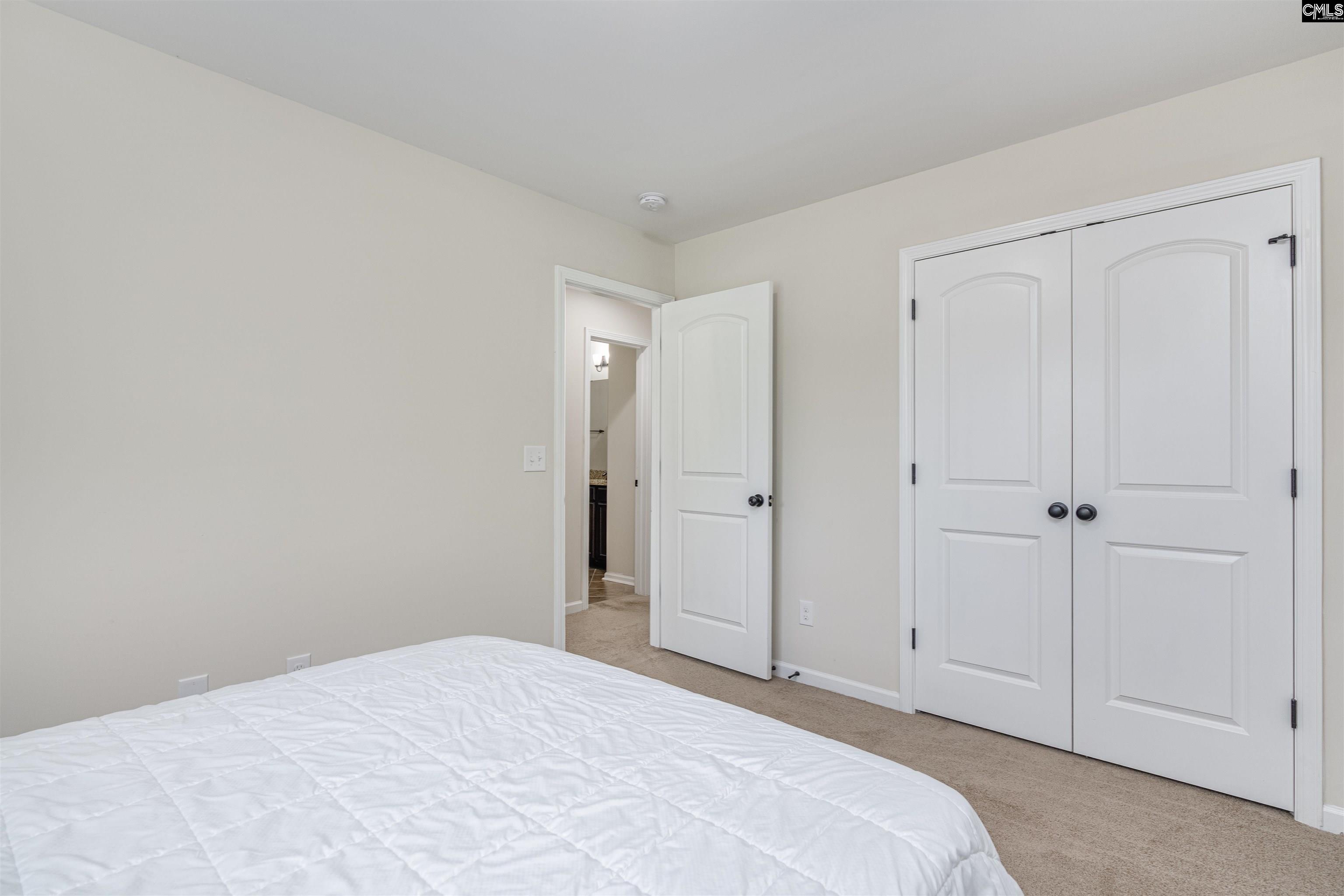 459 Smallwood Drive, Chapin, South Carolina image 26