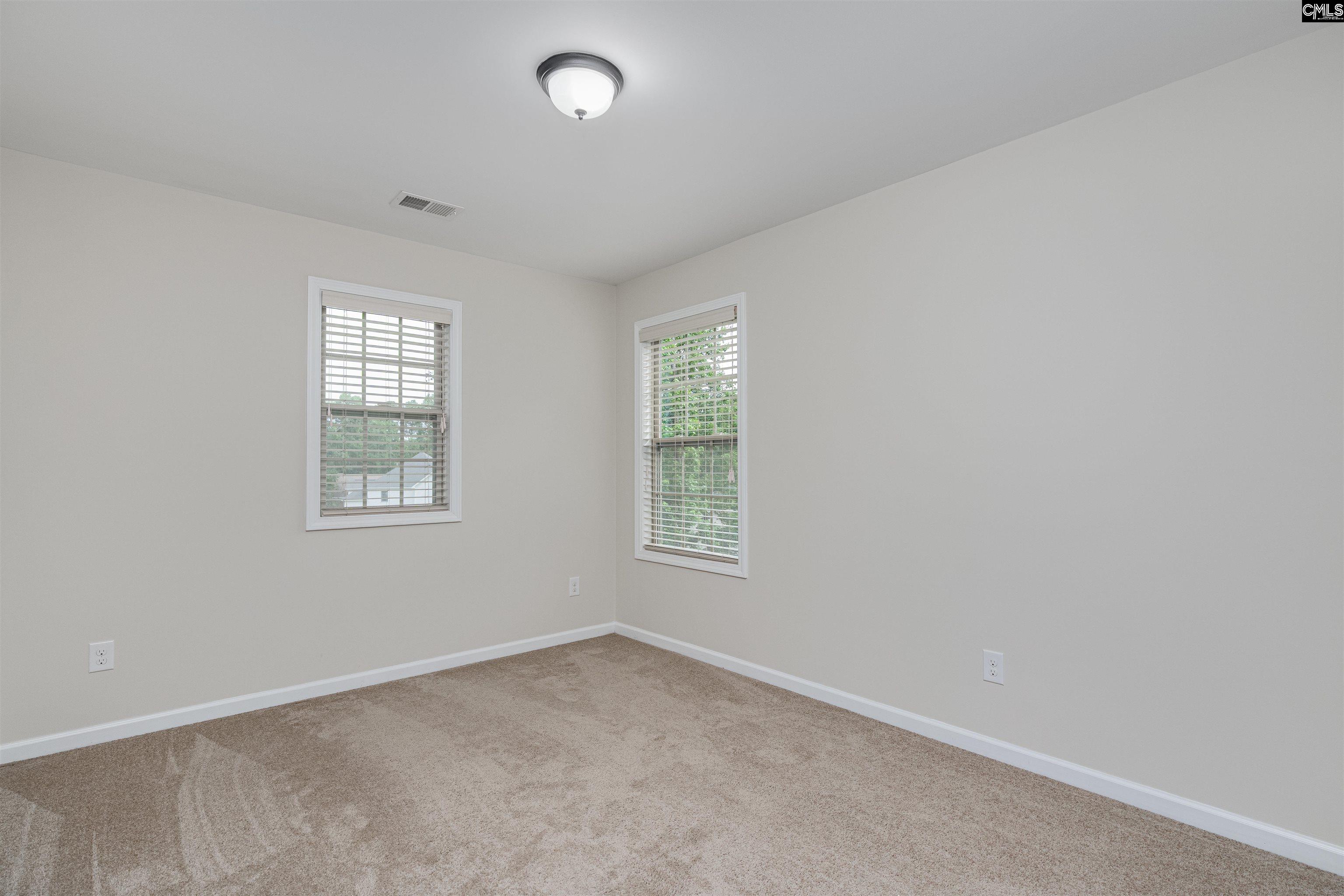 459 Smallwood Drive, Chapin, South Carolina image 27