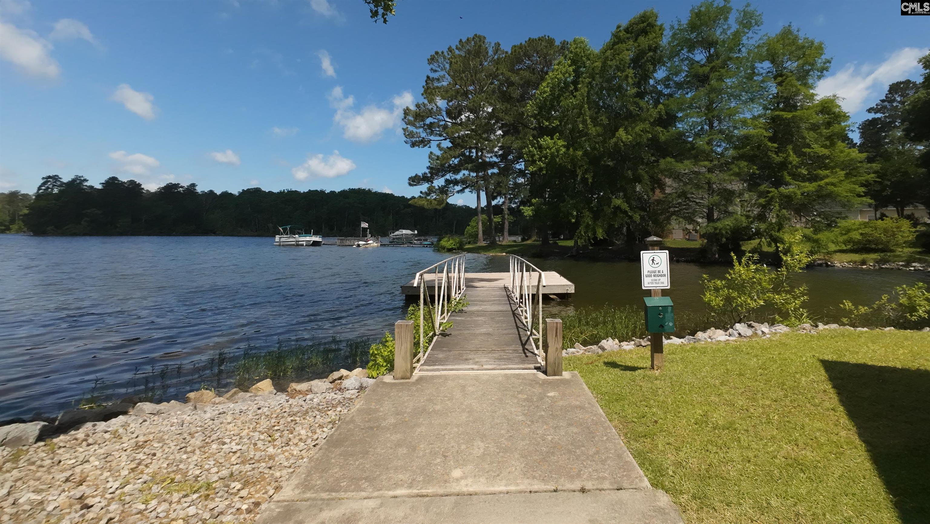 459 Smallwood Drive, Chapin, South Carolina image 45