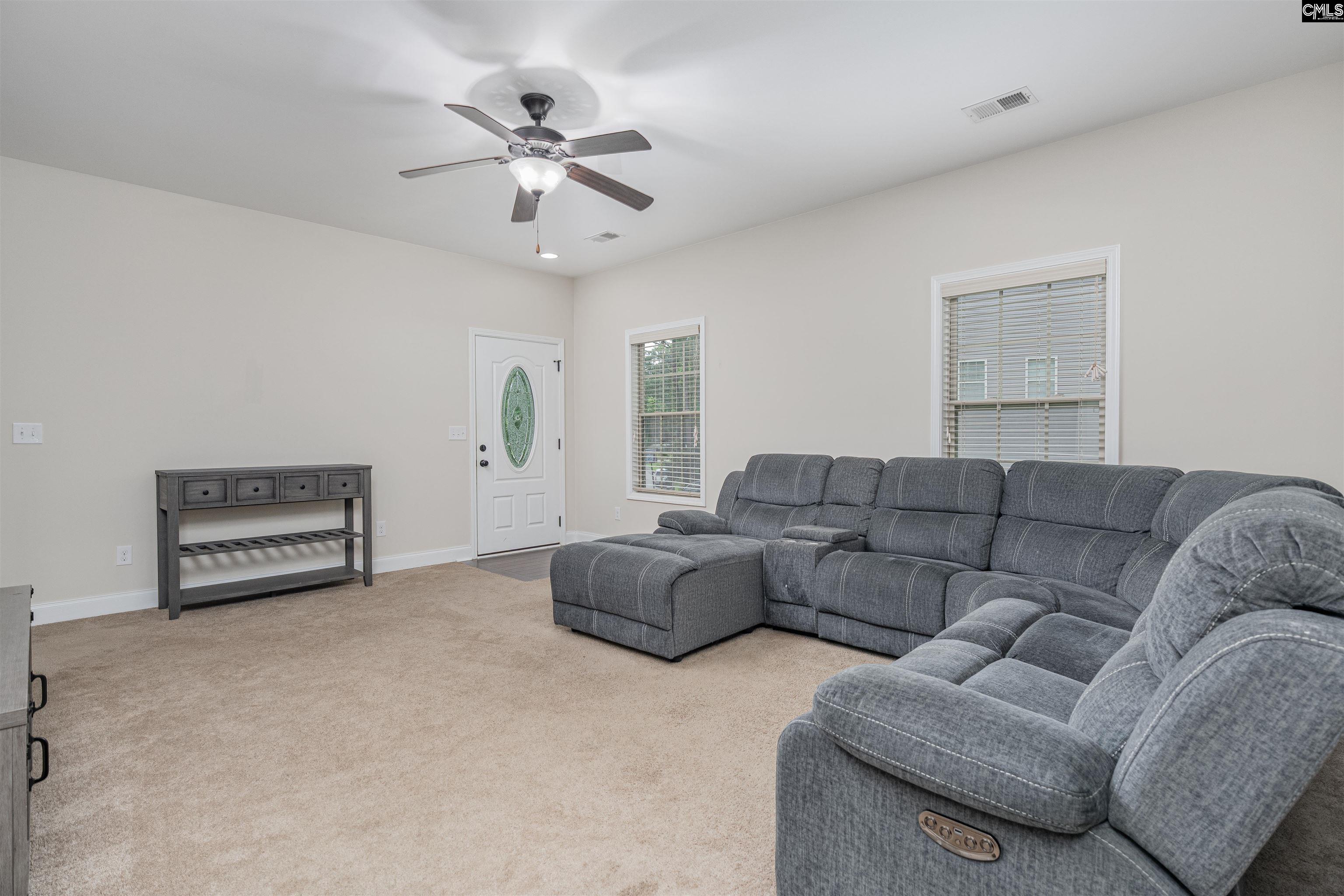 459 Smallwood Drive, Chapin, South Carolina image 8