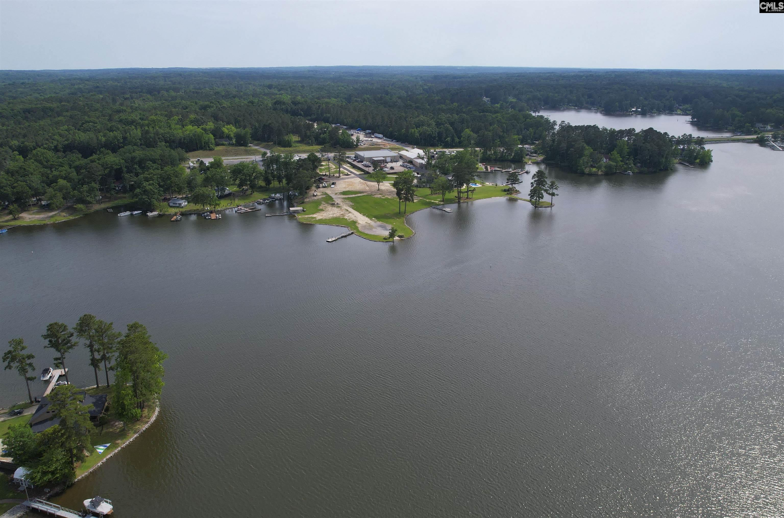 3520 Driftwood Point Road, Gilbert, South Carolina image 43