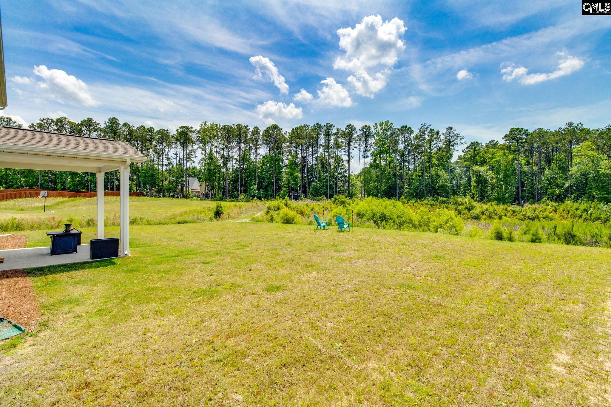 193 Belgrave Drive, Blythewood, South Carolina image 36