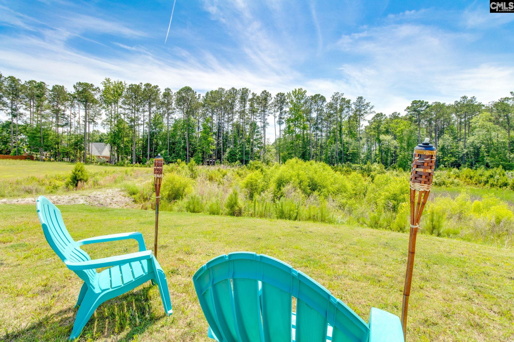 193 Belgrave Drive, Blythewood, South Carolina image 37