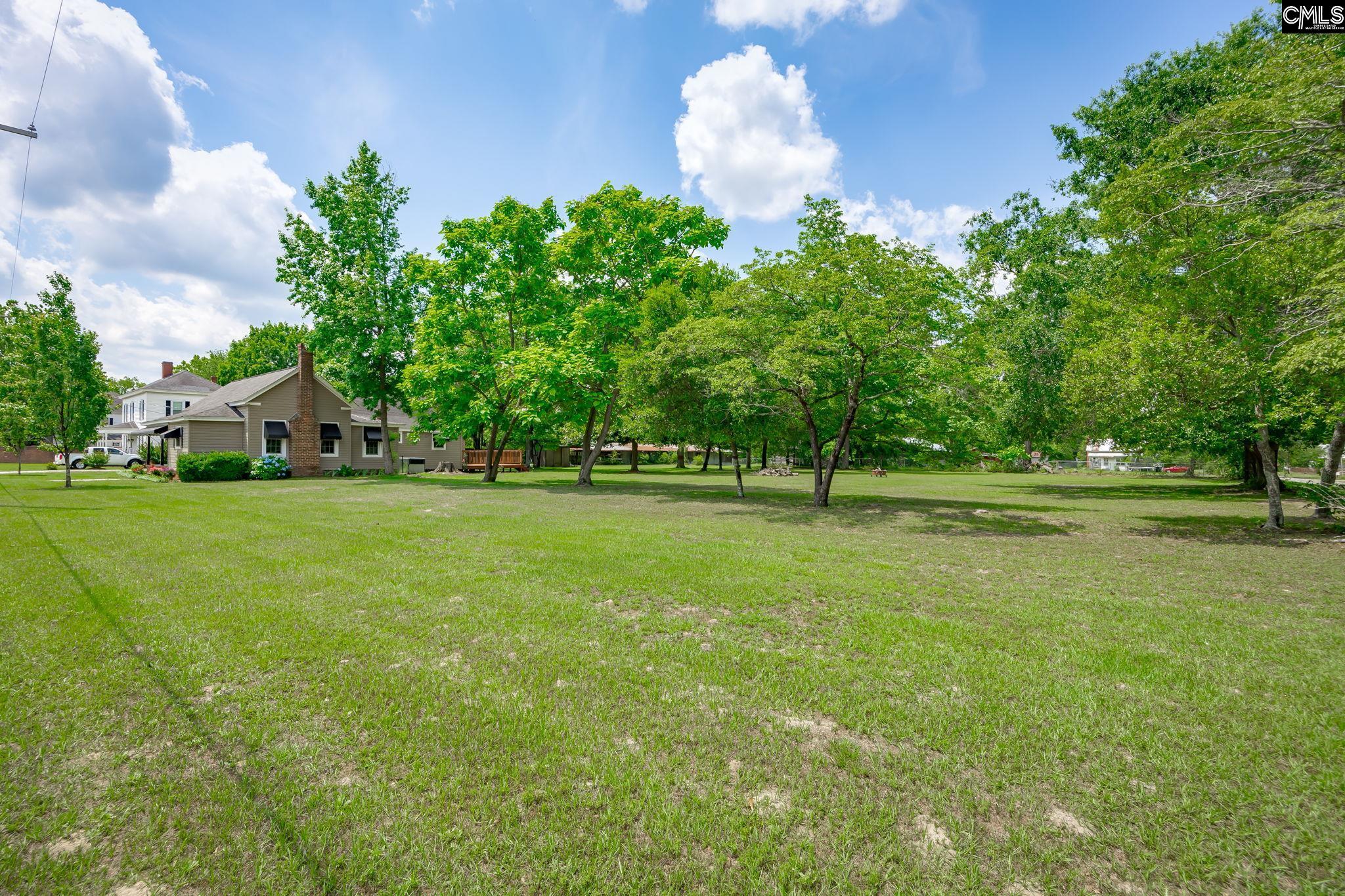 311 Speaks Avenue, Leesville, South Carolina image 43