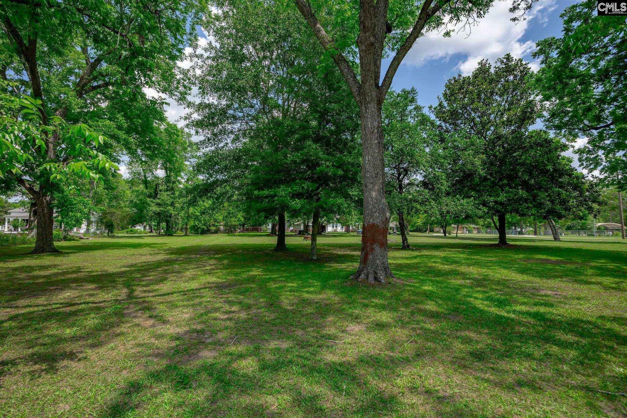 311 Speaks Avenue, Leesville, South Carolina image 47