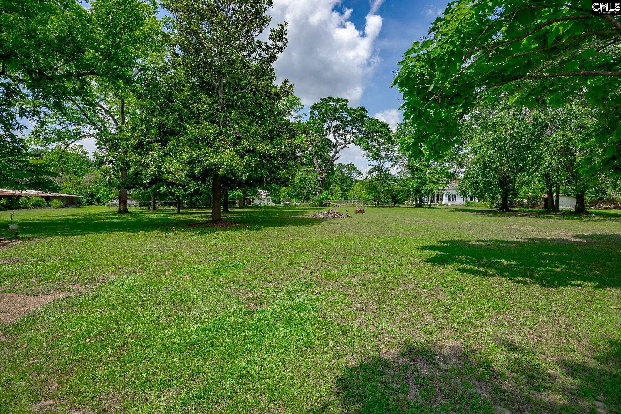 311 Speaks Avenue, Leesville, South Carolina image 48