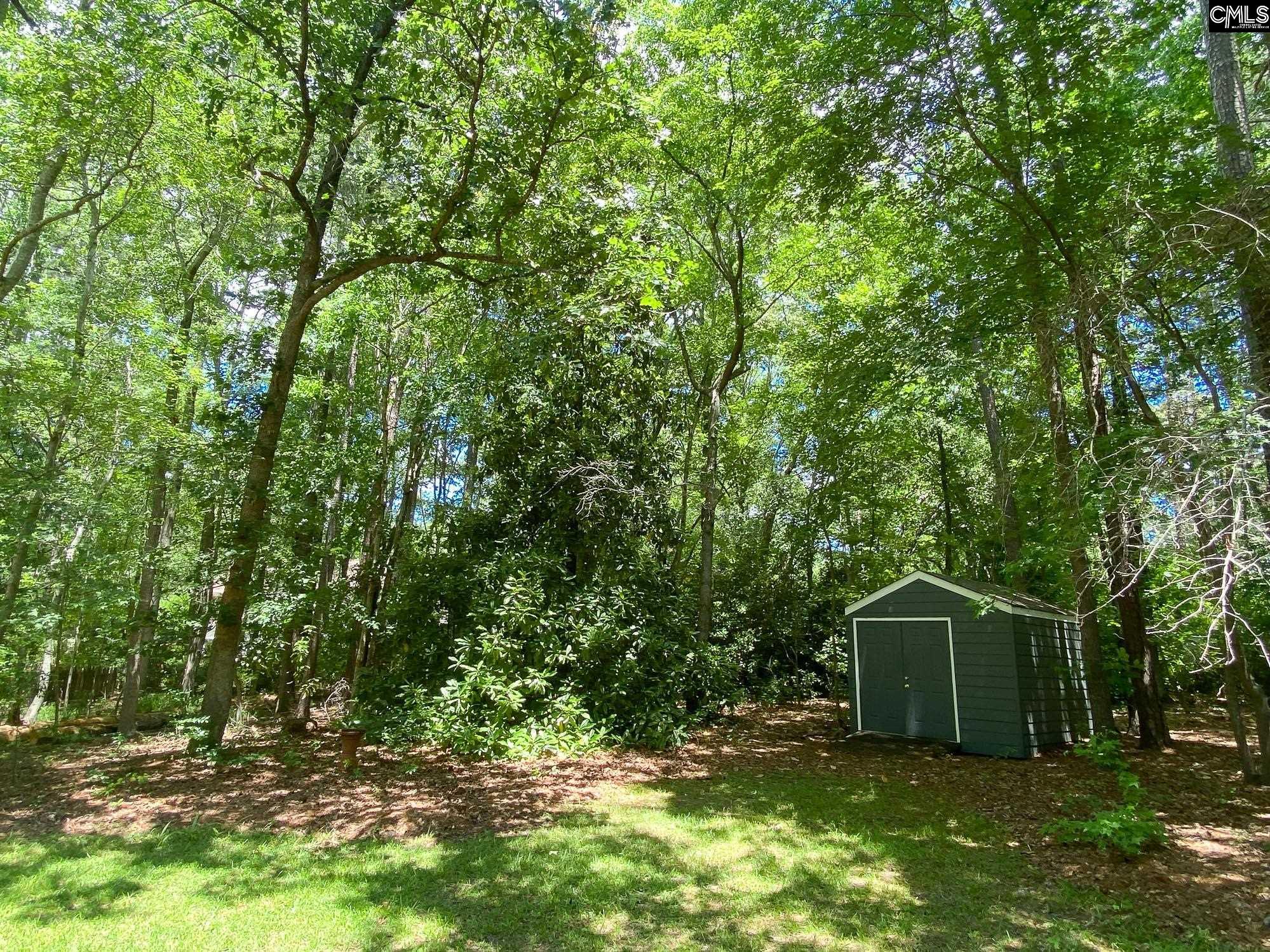 141 Runneymede Drive, Blythewood, South Carolina image 8