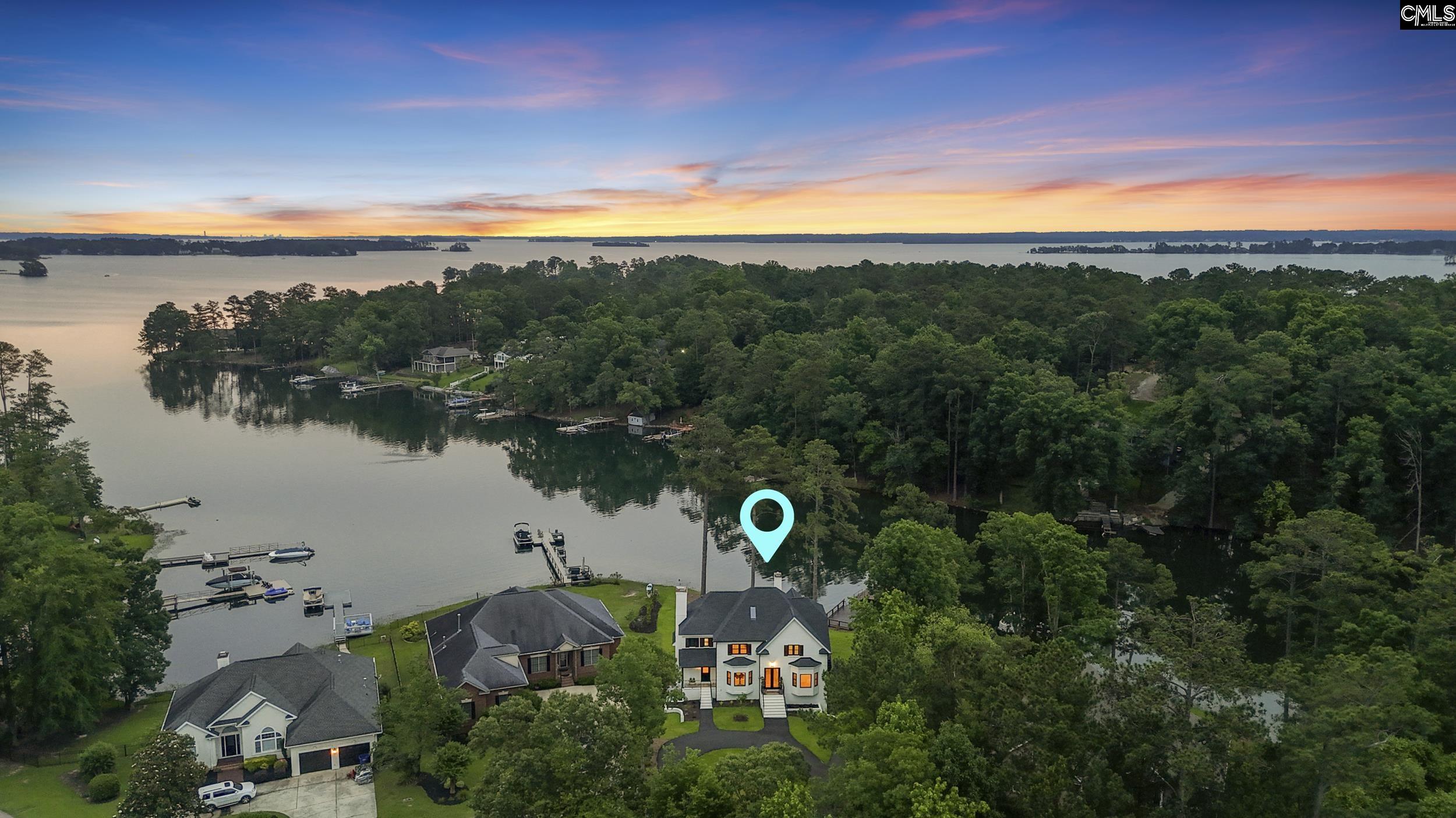 382 Oxenbridge Way, Chapin, South Carolina image 1
