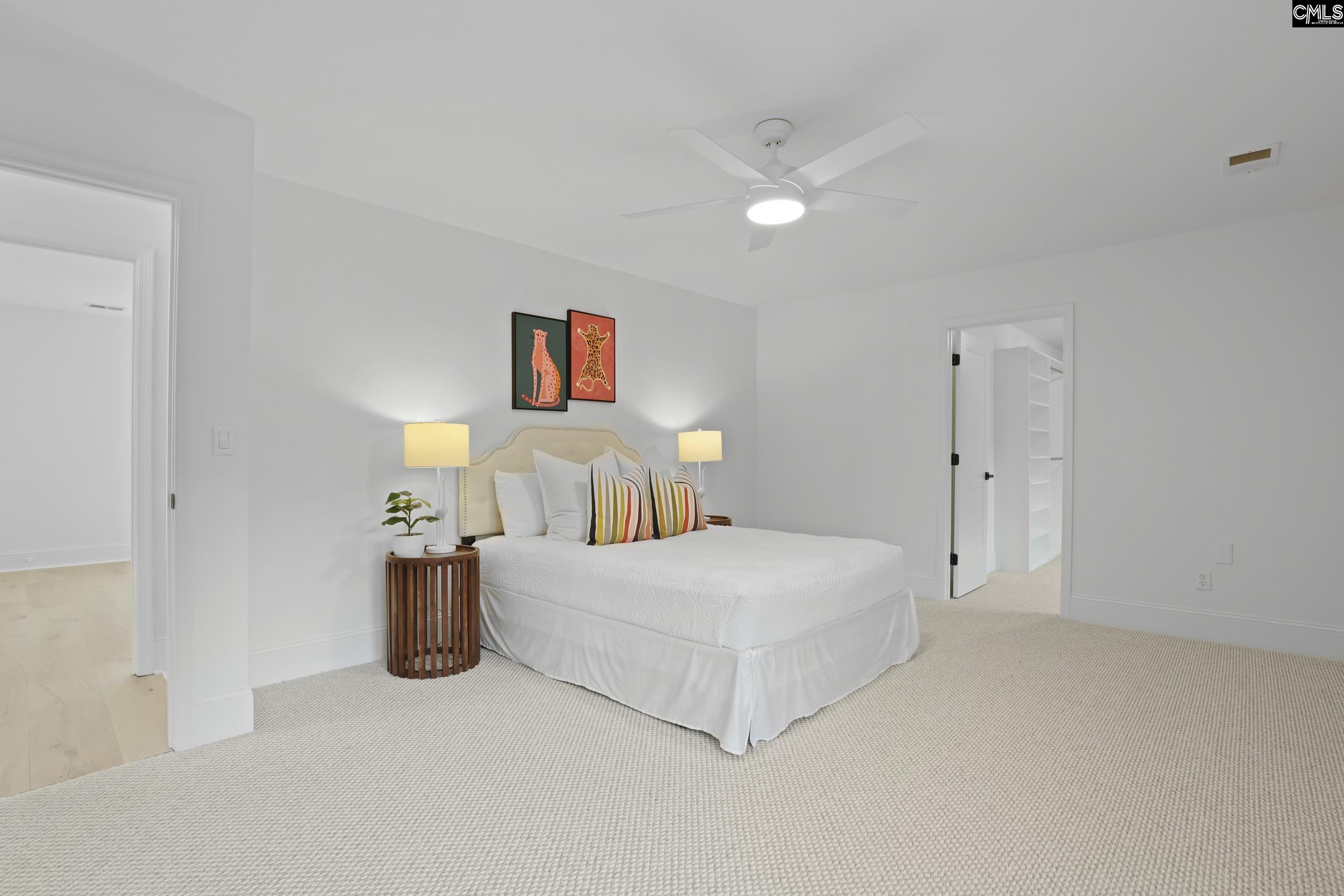 382 Oxenbridge Way, Chapin, South Carolina image 31