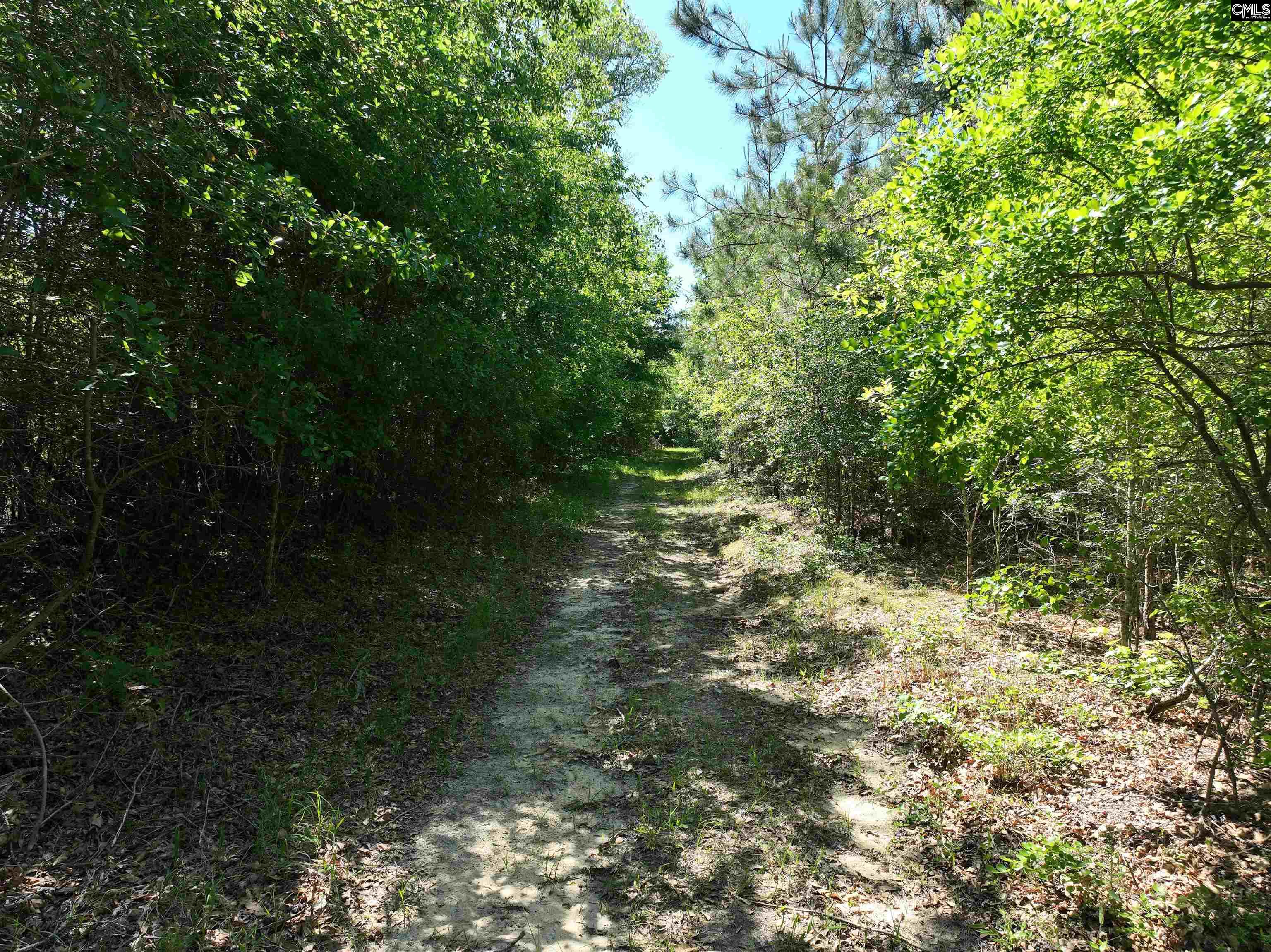 19914 Heritage Highway, Denmark, South Carolina image 11