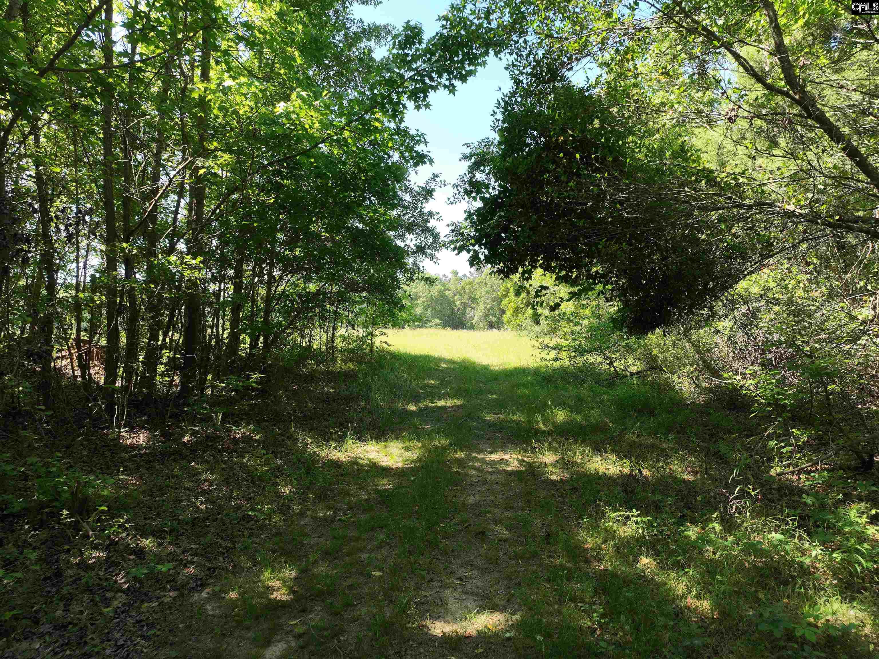 19914 Heritage Highway, Denmark, South Carolina image 12