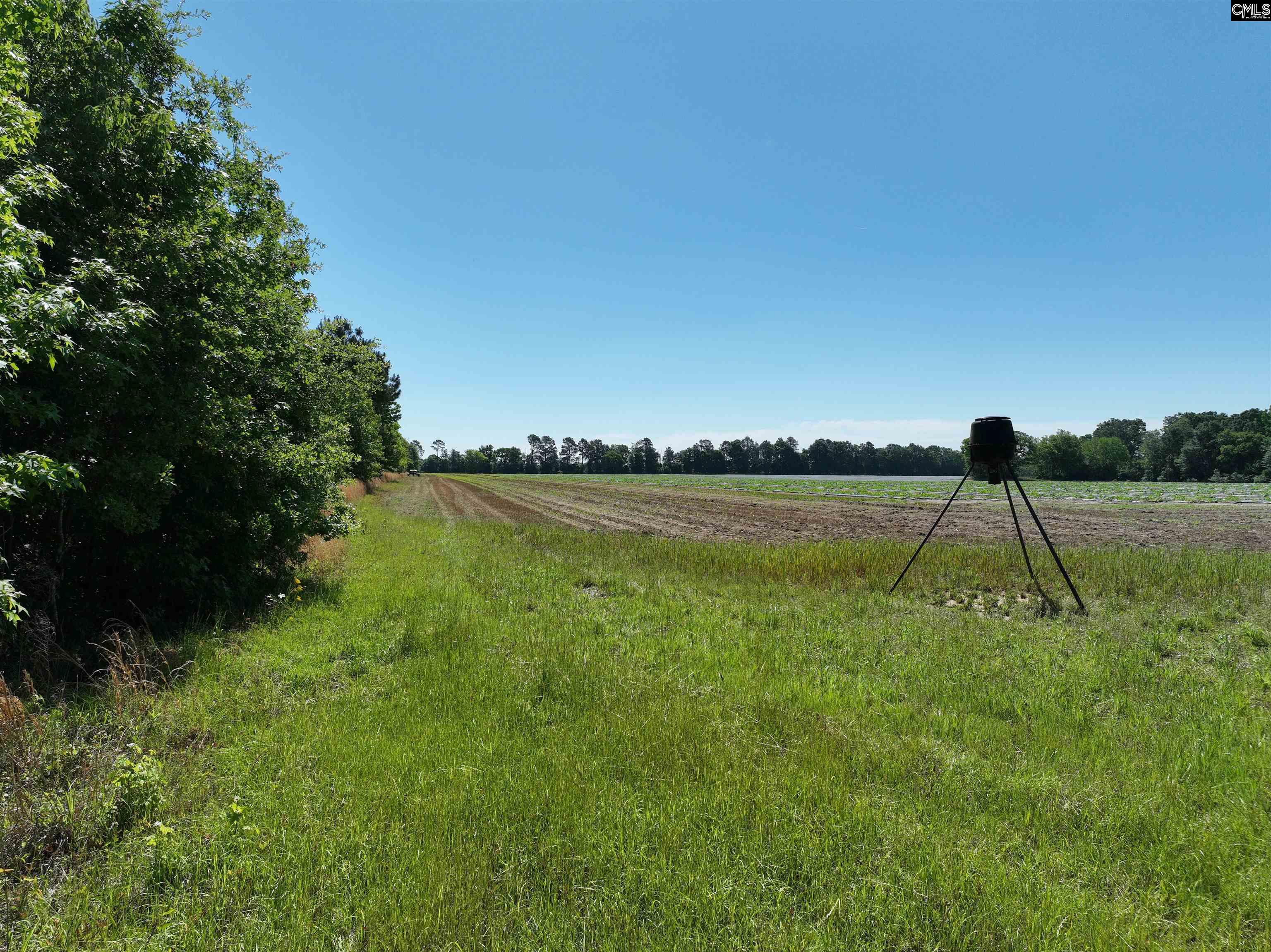 19914 Heritage Highway, Denmark, South Carolina image 13