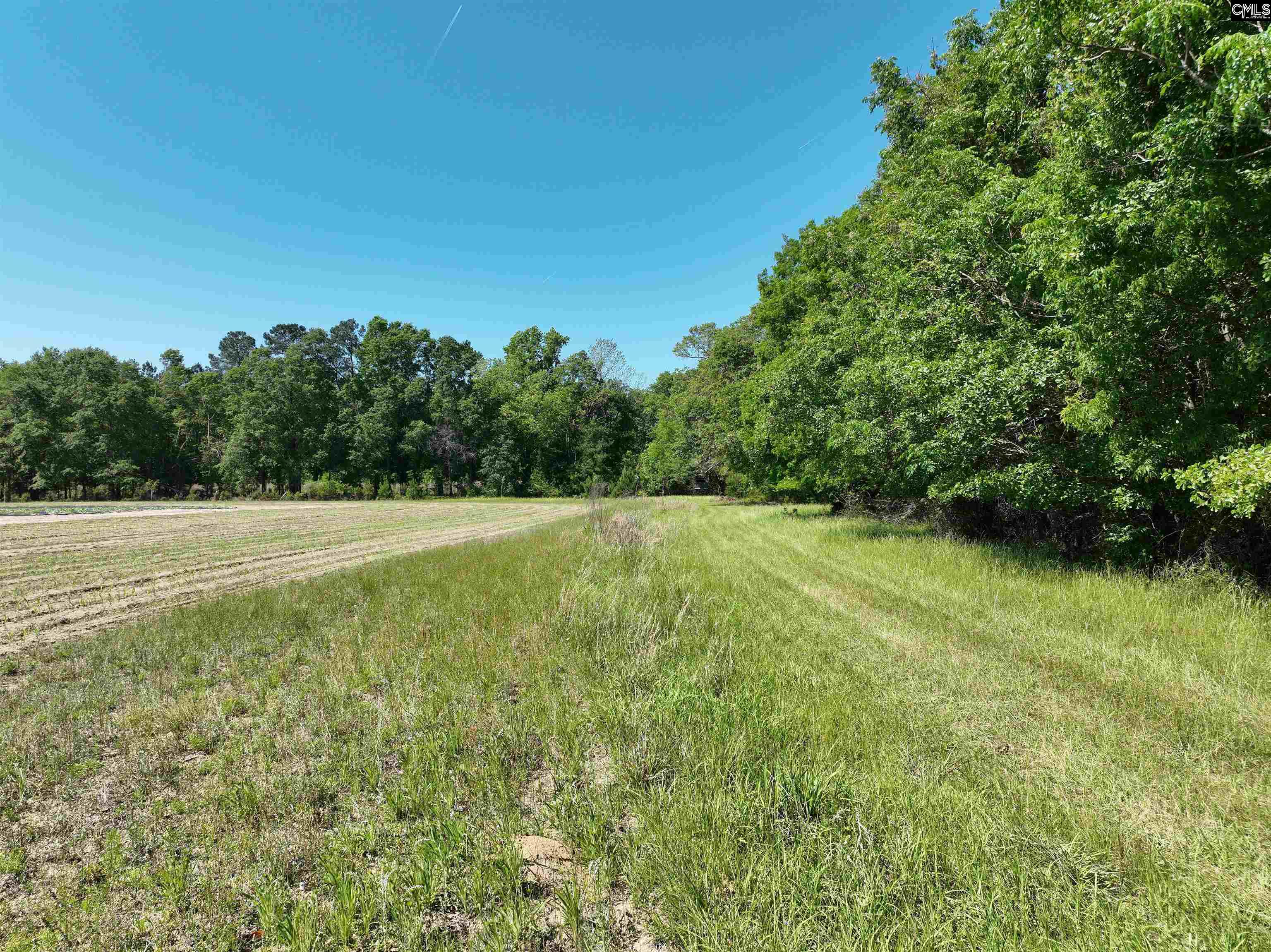 19914 Heritage Highway, Denmark, South Carolina image 14