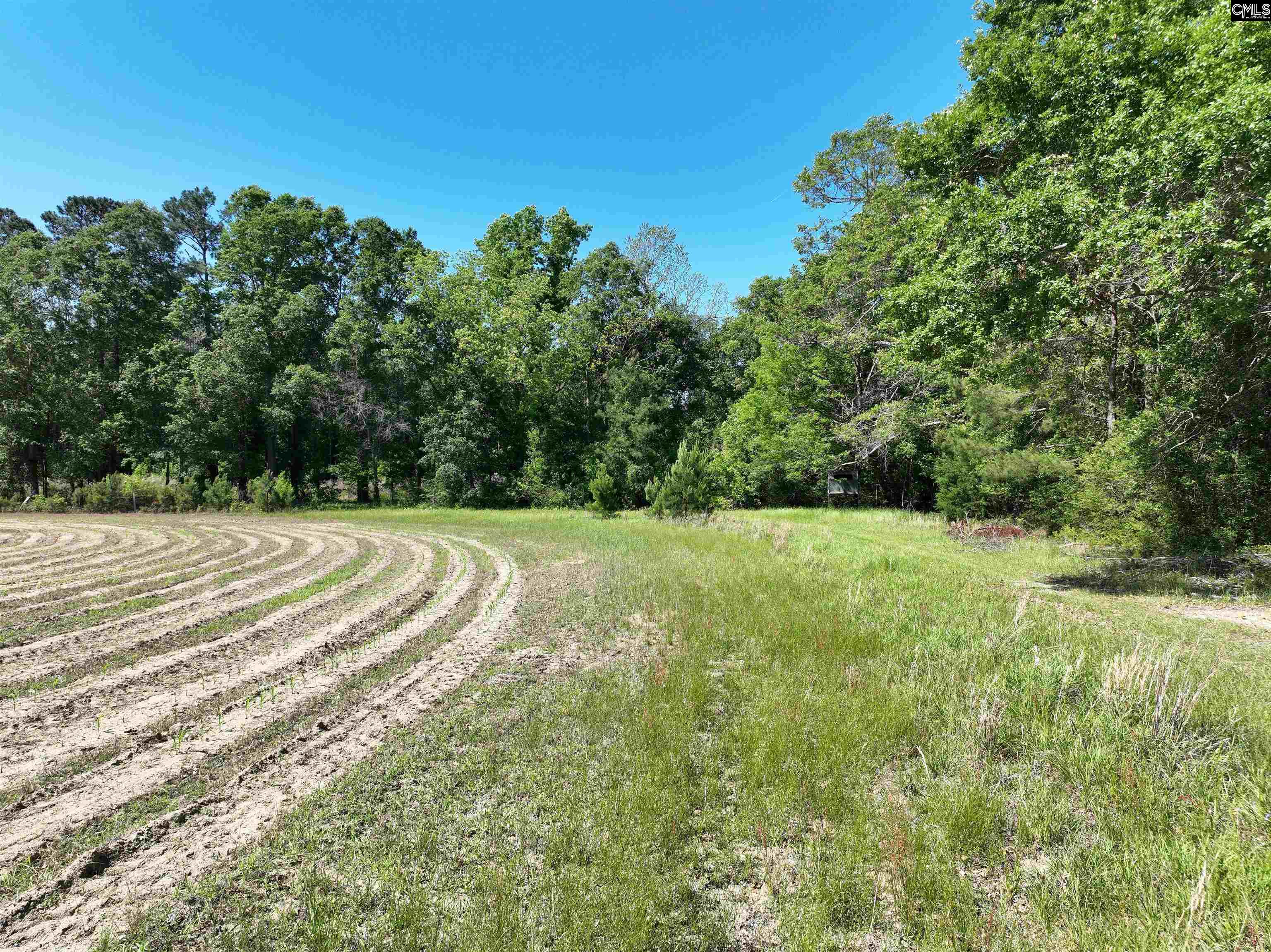 19914 Heritage Highway, Denmark, South Carolina image 15