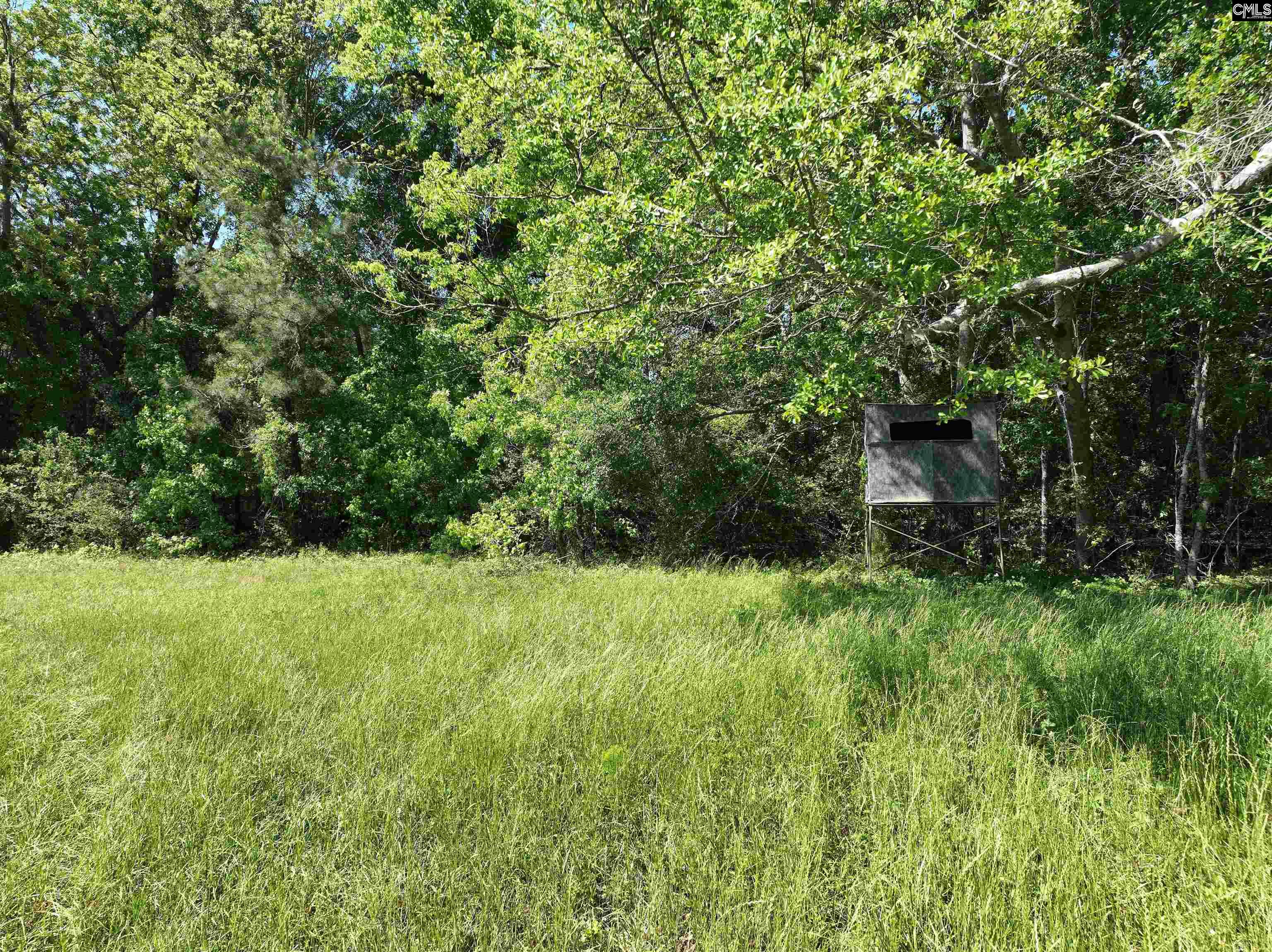 19914 Heritage Highway, Denmark, South Carolina image 16