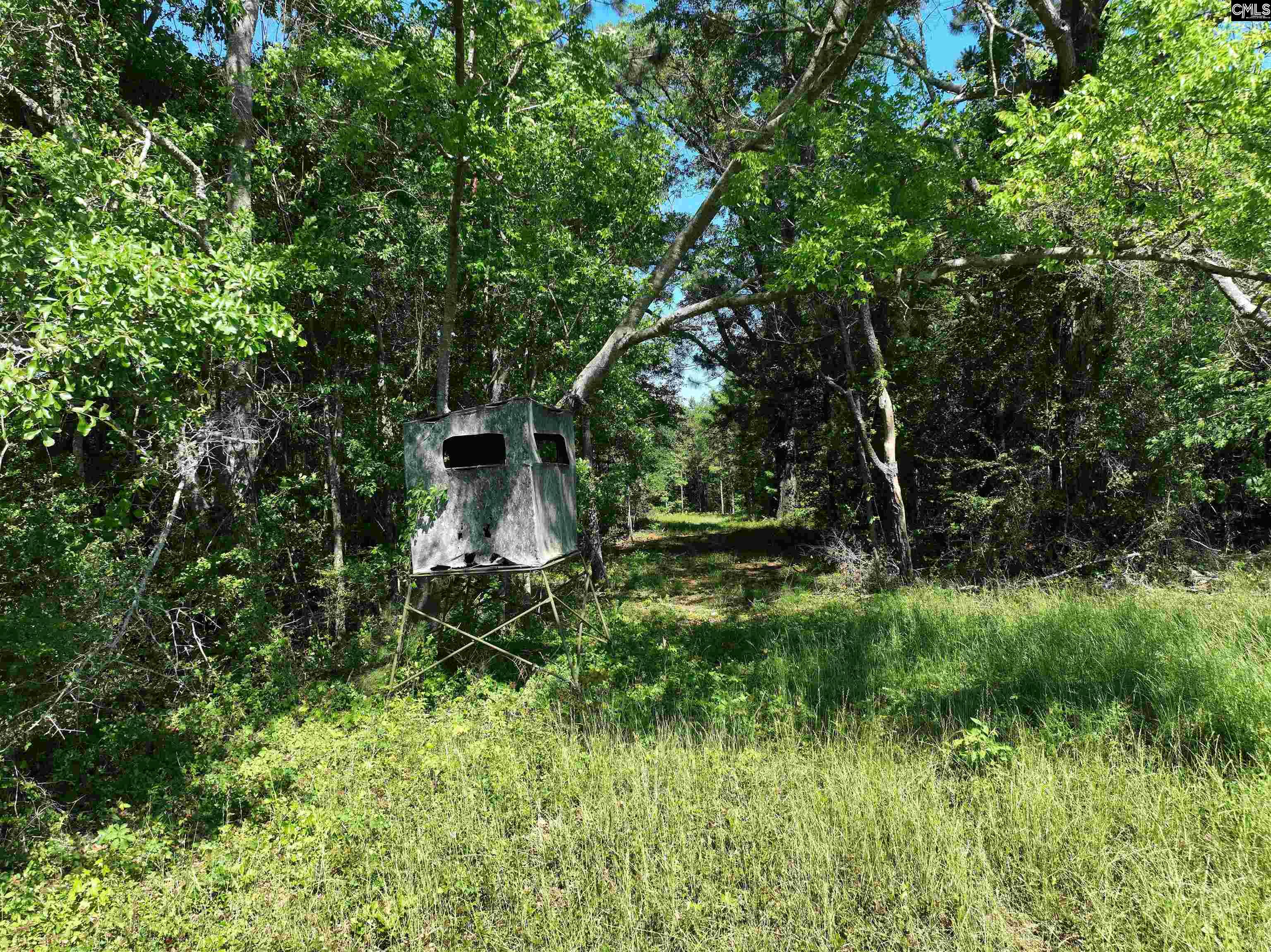 19914 Heritage Highway, Denmark, South Carolina image 17